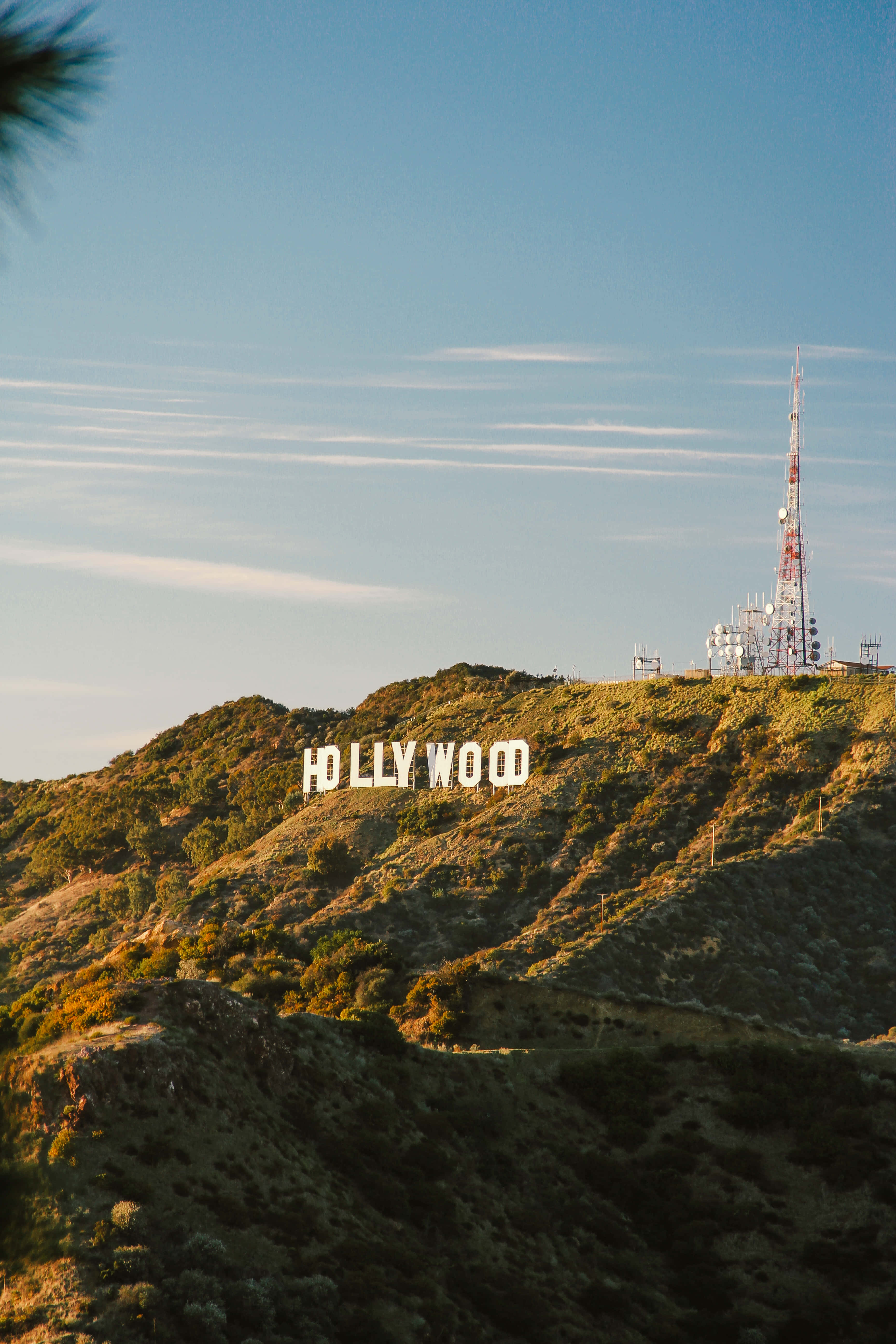 Cartel de Hollywood al atardecer Fondos de pantalla