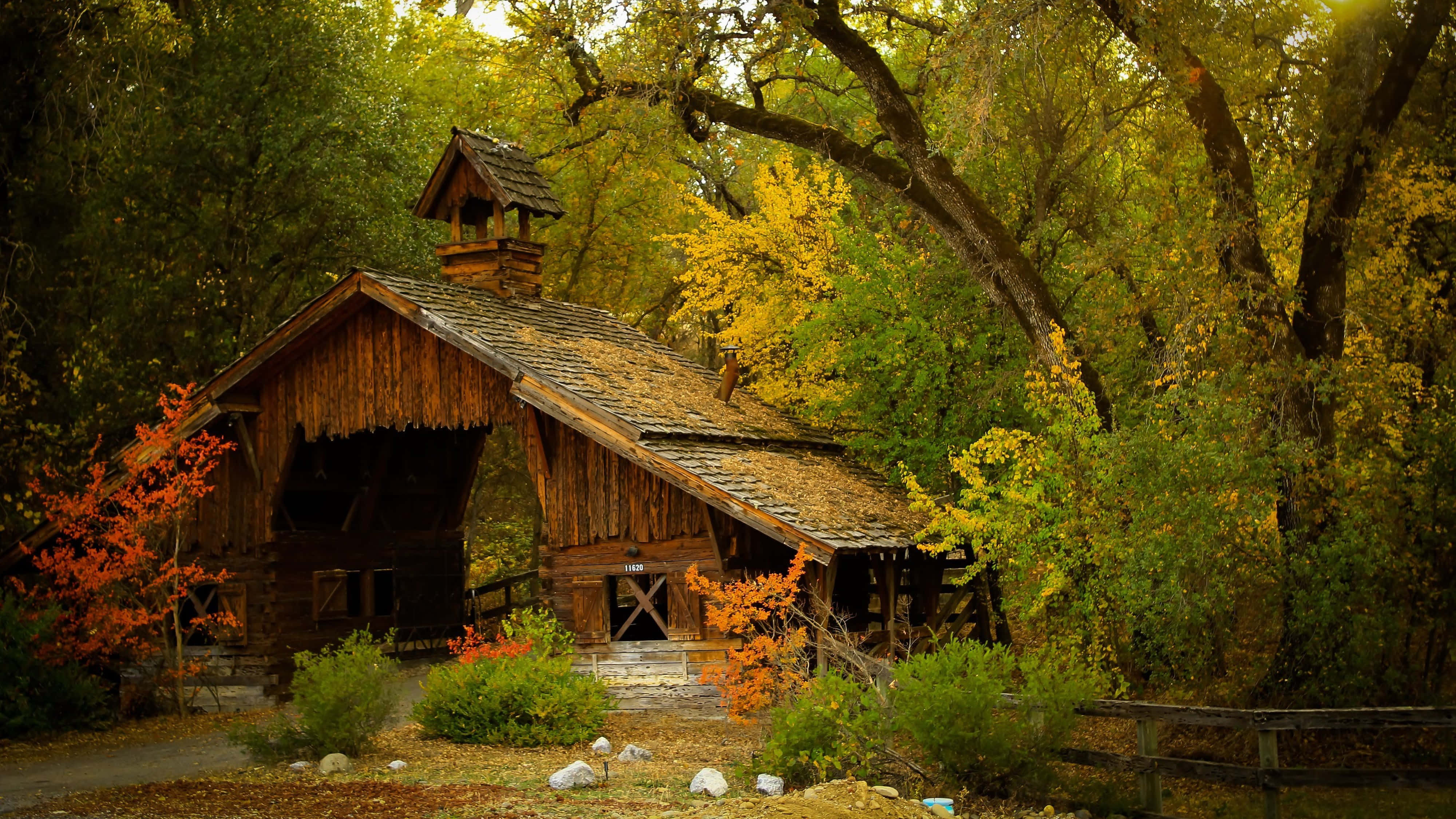 Casa pequeña 4K UHD en el bosque Fondos de pantalla