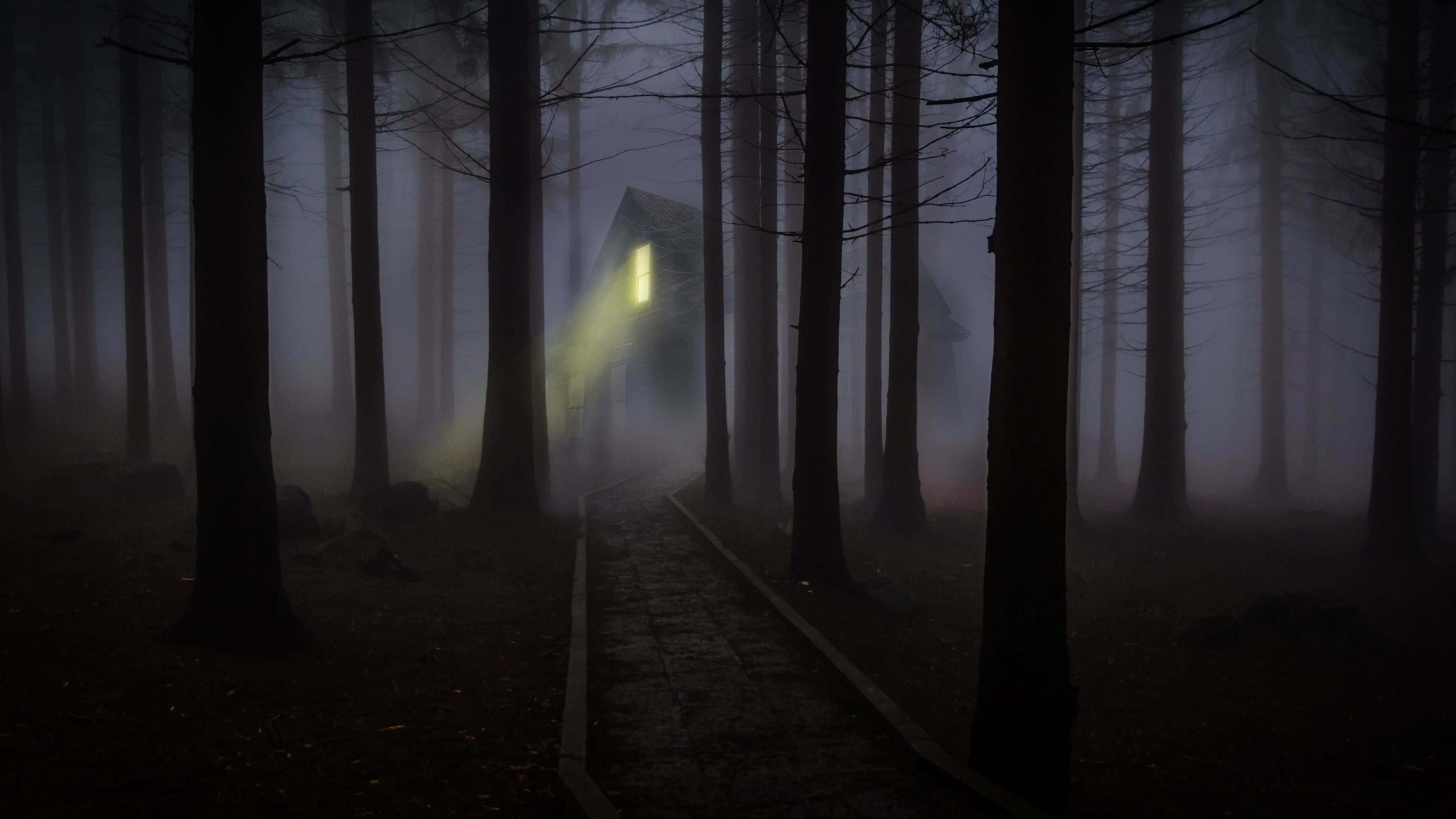 Casa Tenebrosa en un Bosque Neblinoso Fondos de pantalla
