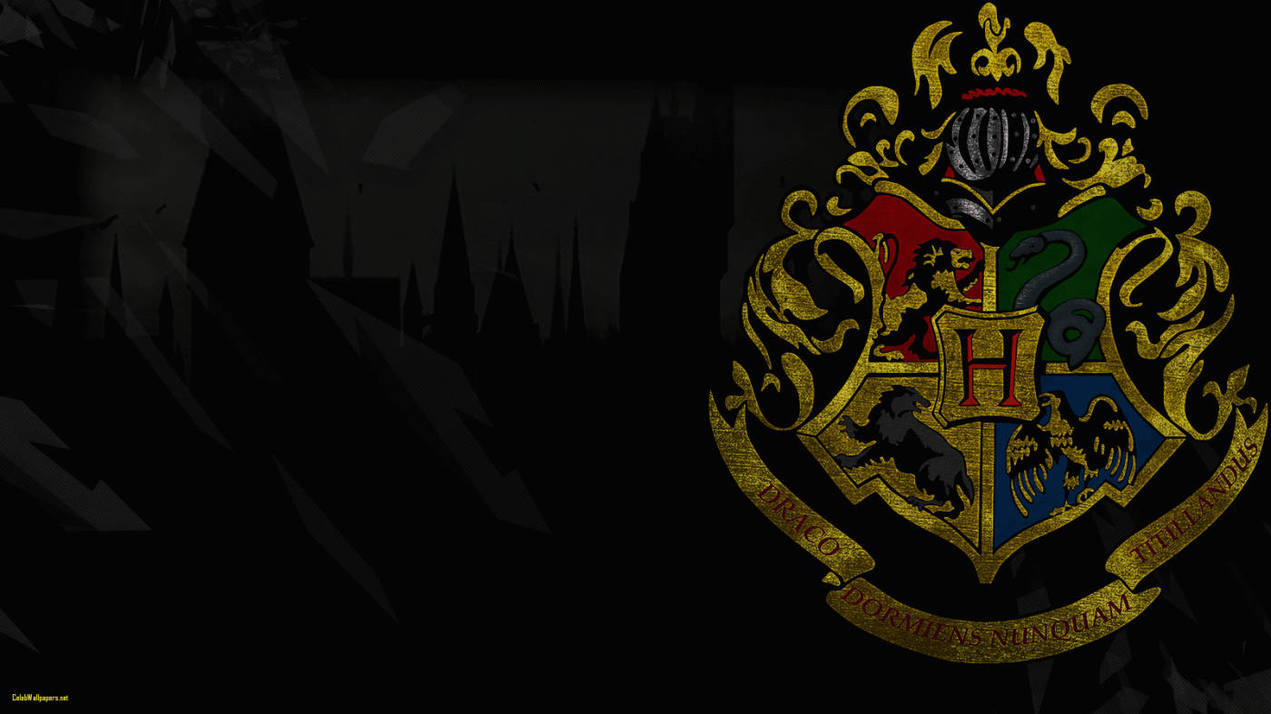 Casas de Hogwarts con Silueta del Campus Harry Potter iPad Fondos de pantalla