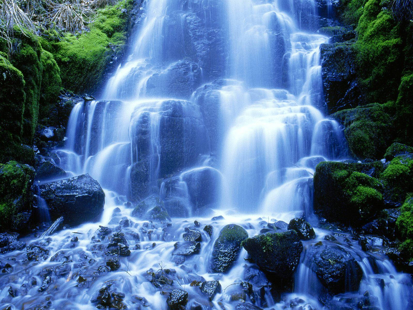 Cascada Musgosa 3D en Vivo Fondos de pantalla