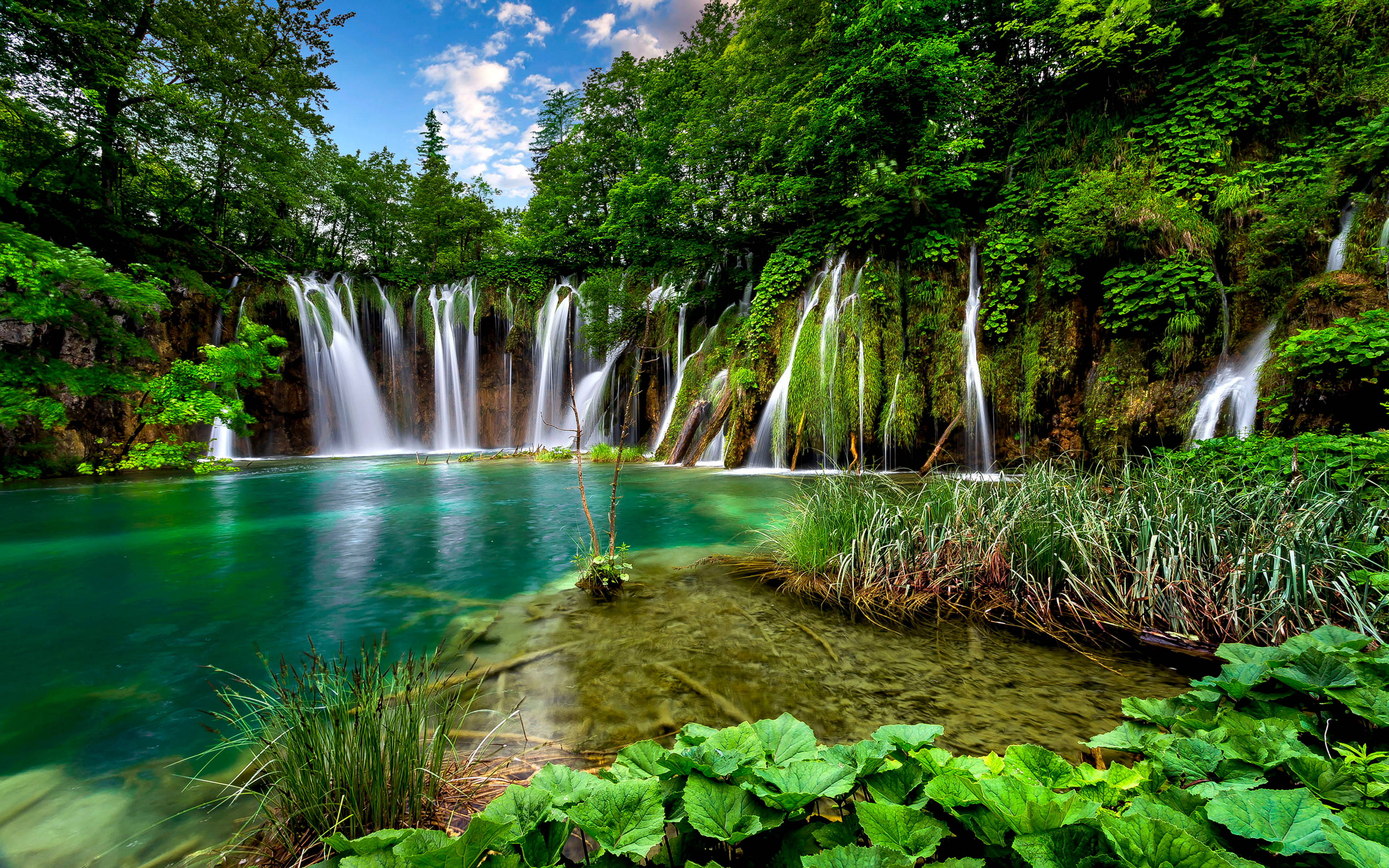 Cascadas Naturales Fondo de Escritorio Profesional