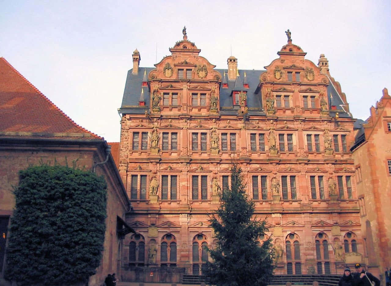 Castillo de Heidelberg Vista desde Abajo Fondos de pantalla