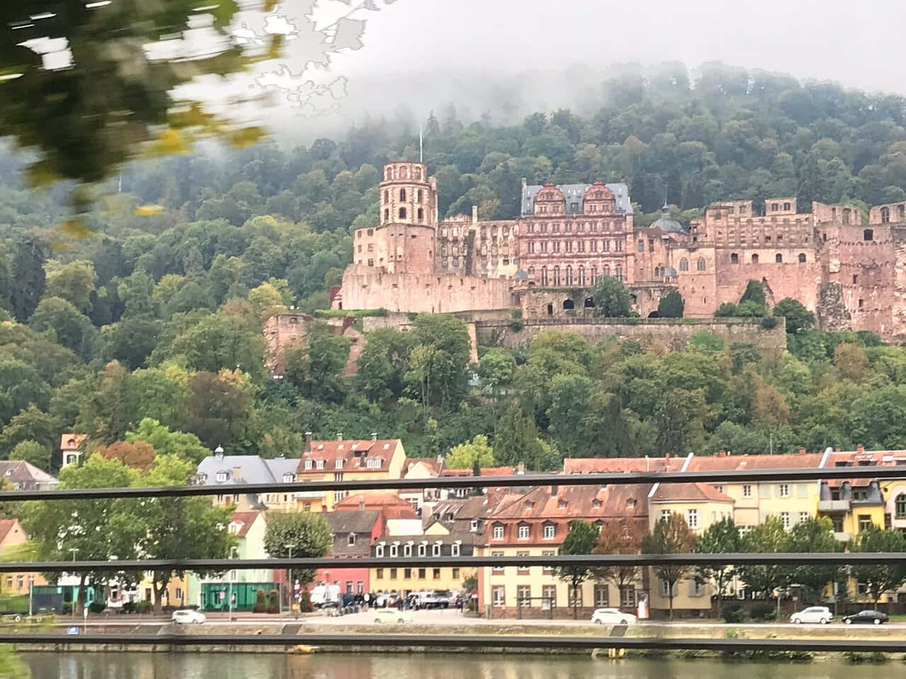 Castillo de Heidelberg en la colina Jettenbuhl Fondos de pantalla