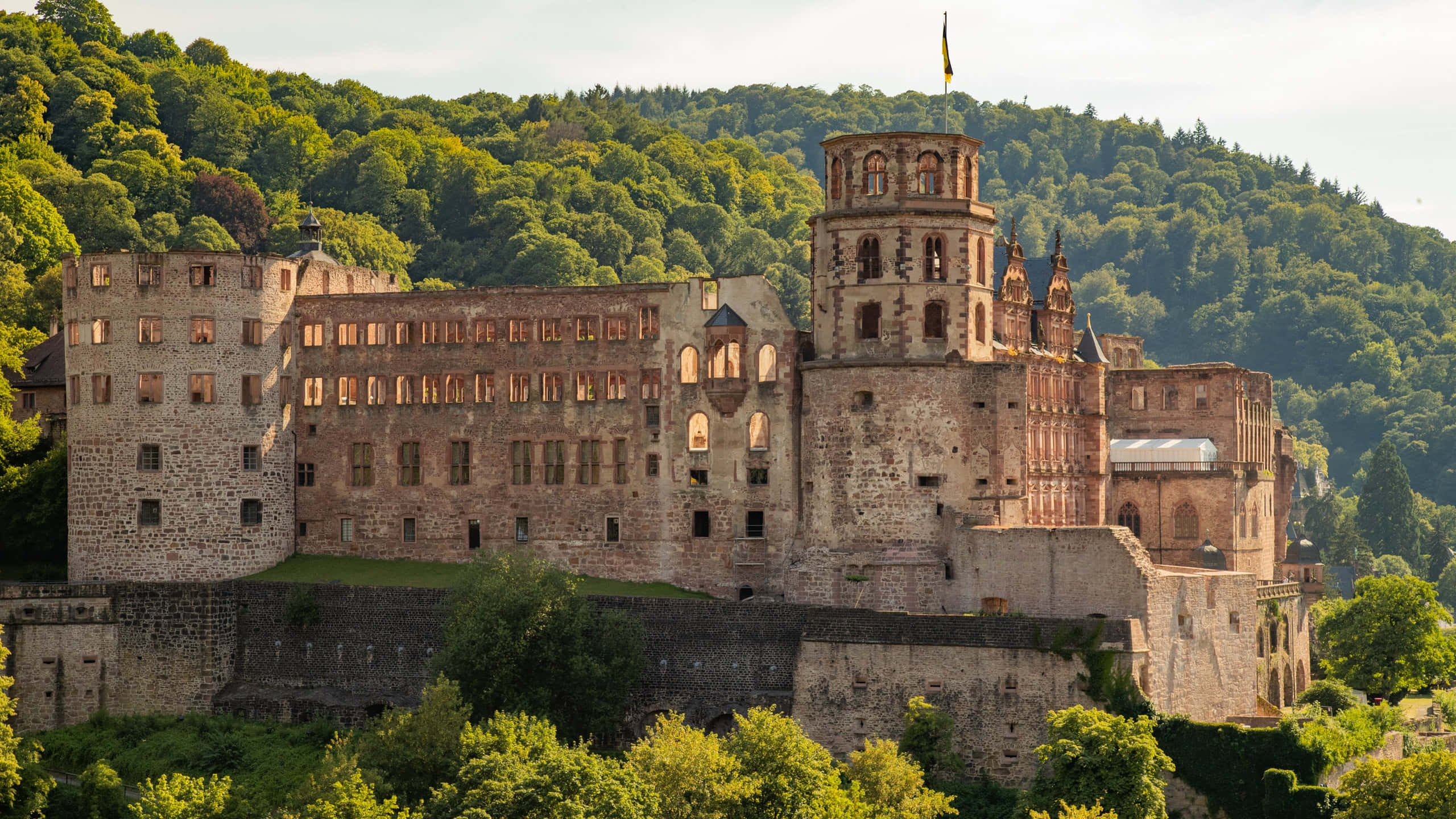 Castillo de Heidelberg en la Mañana Fondos de pantalla