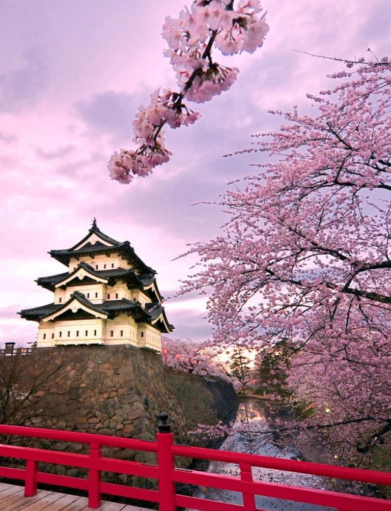 Castillo Hirosaki Japonés Bajo el Cielo Púrpura Fondos de pantalla