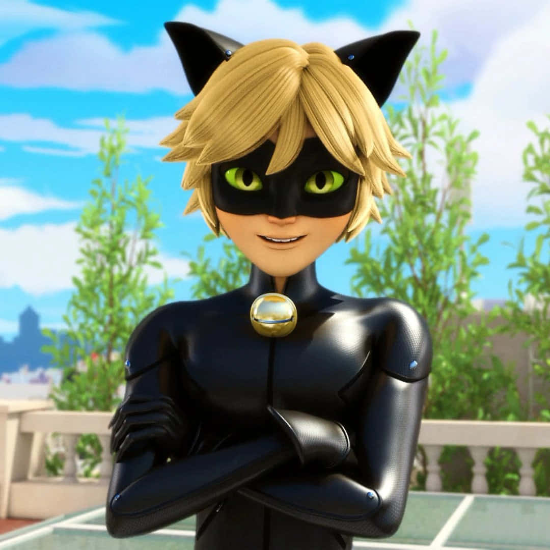 Cat Noir - El Vigilante Fondos de pantalla