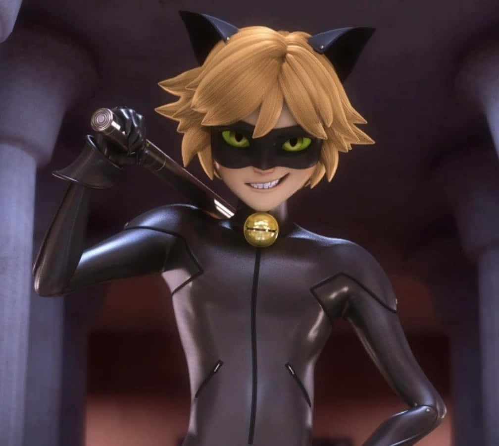¡Cat Noir está aquí para salvar el día! Fondos de pantalla