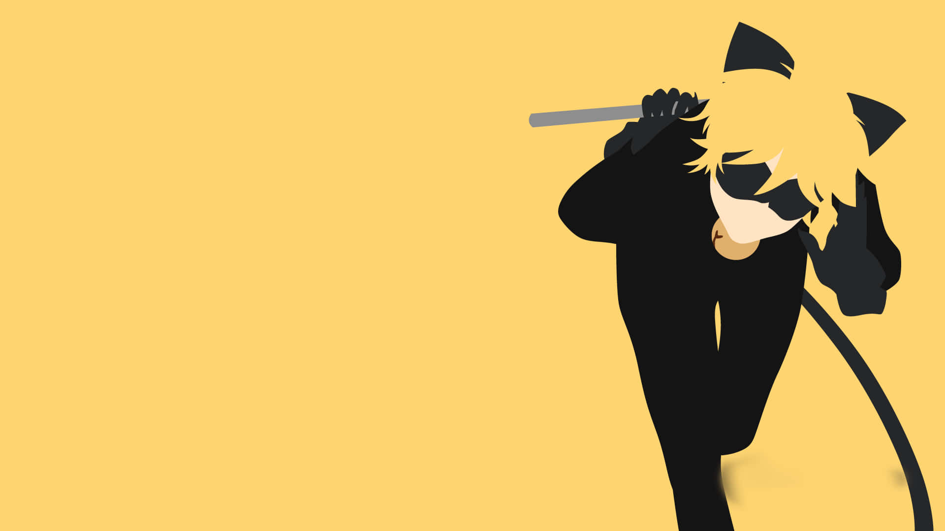 Cat Noir está listo para la aventura Fondos de pantalla