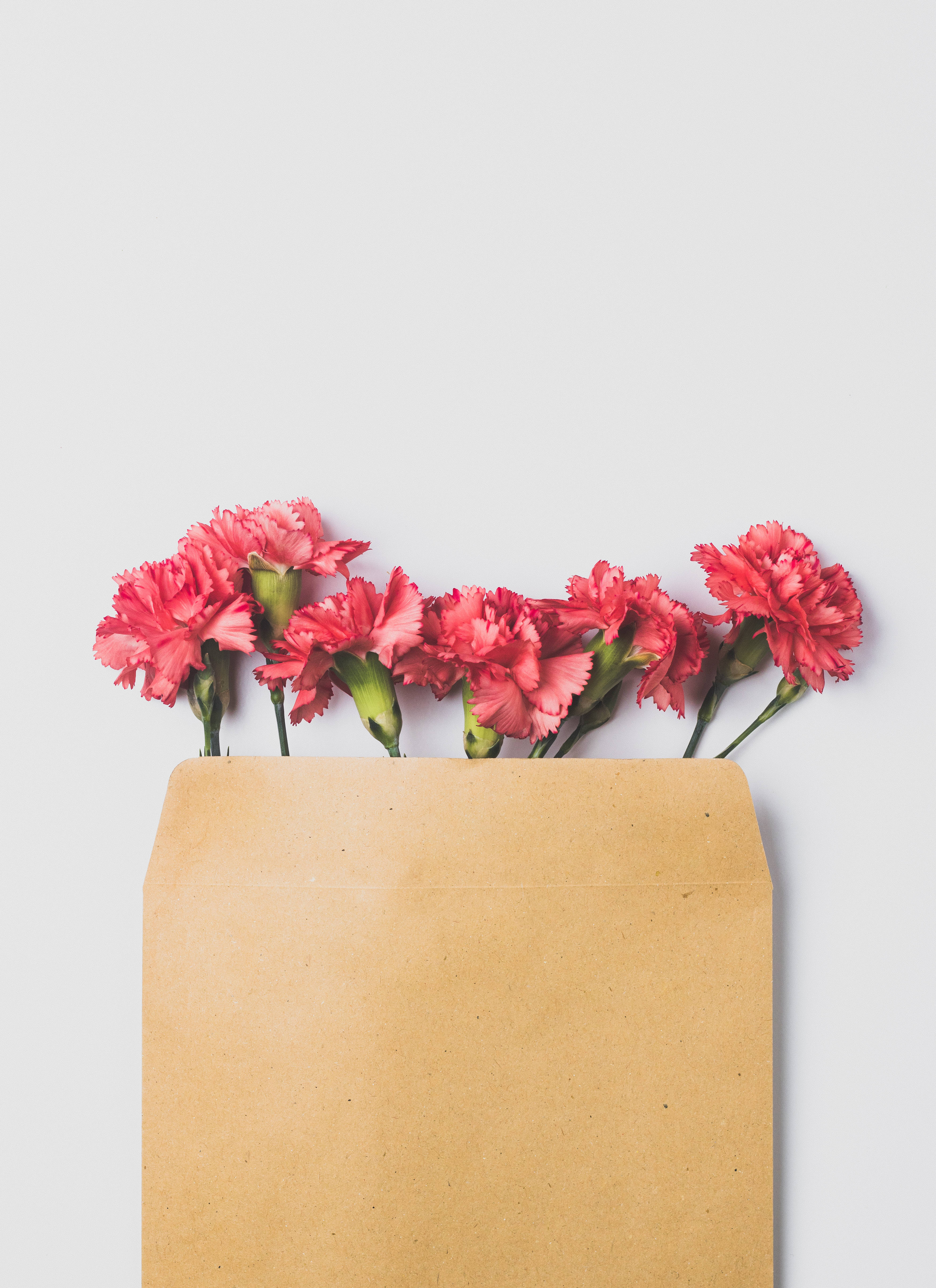 “Celebra a Mamá con un Ramo de Flores Rosas” Fondos de pantalla