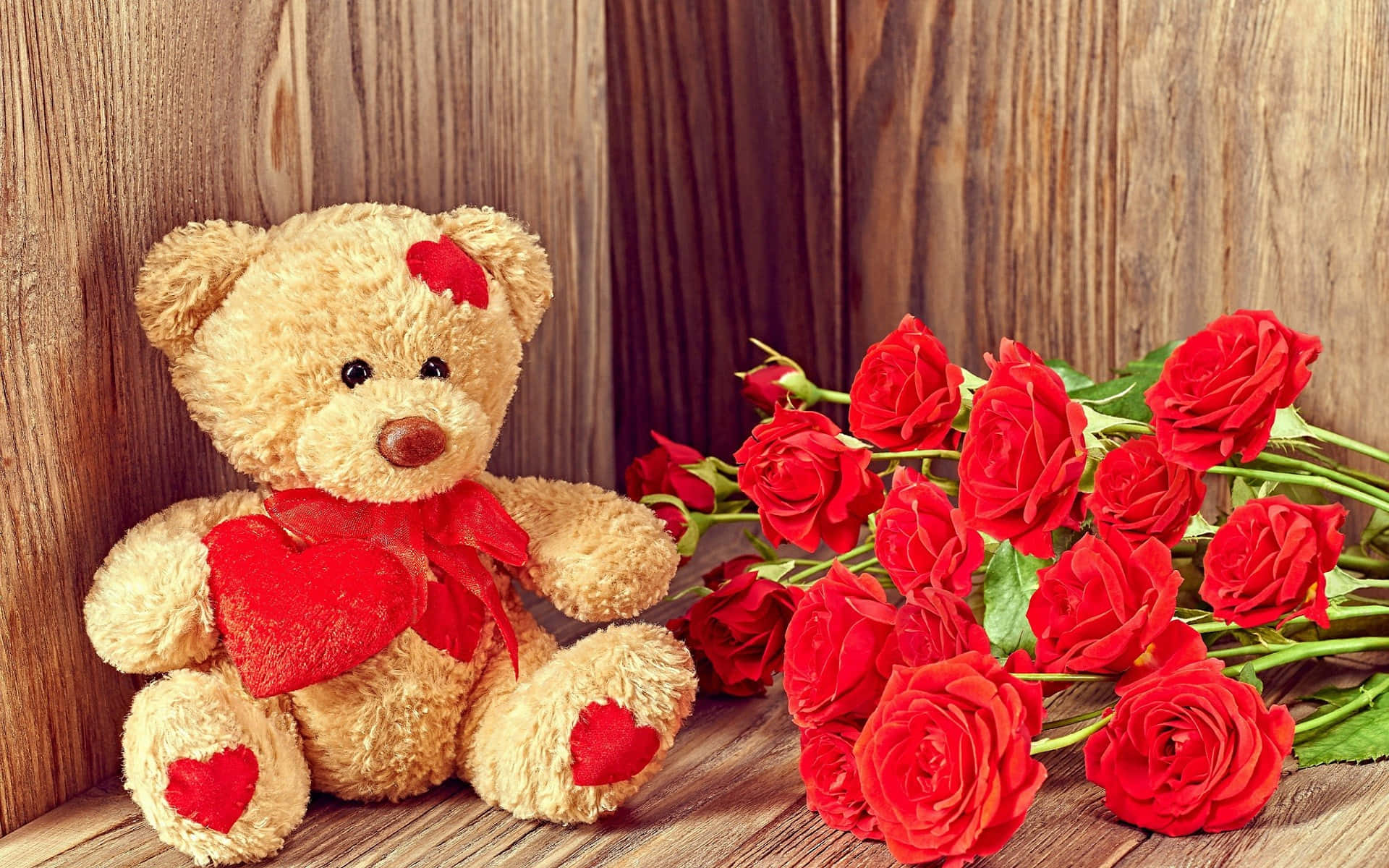 ¡Celebra el Día del Amor con ternura y adorable dulzura! Fondos de pantalla