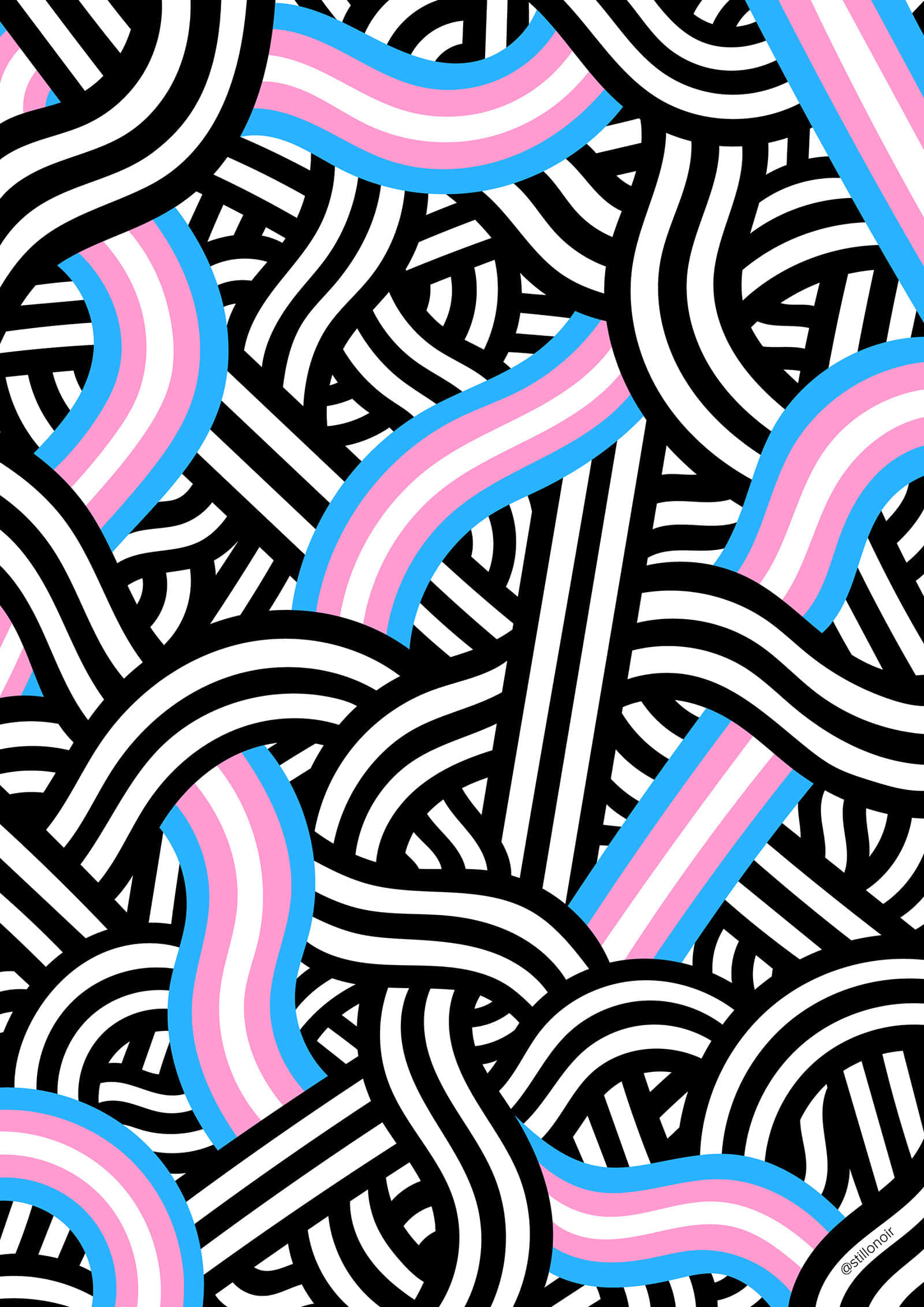 ¡Celebra el Orgullo Trans en Solidaridad! Fondos de pantalla
