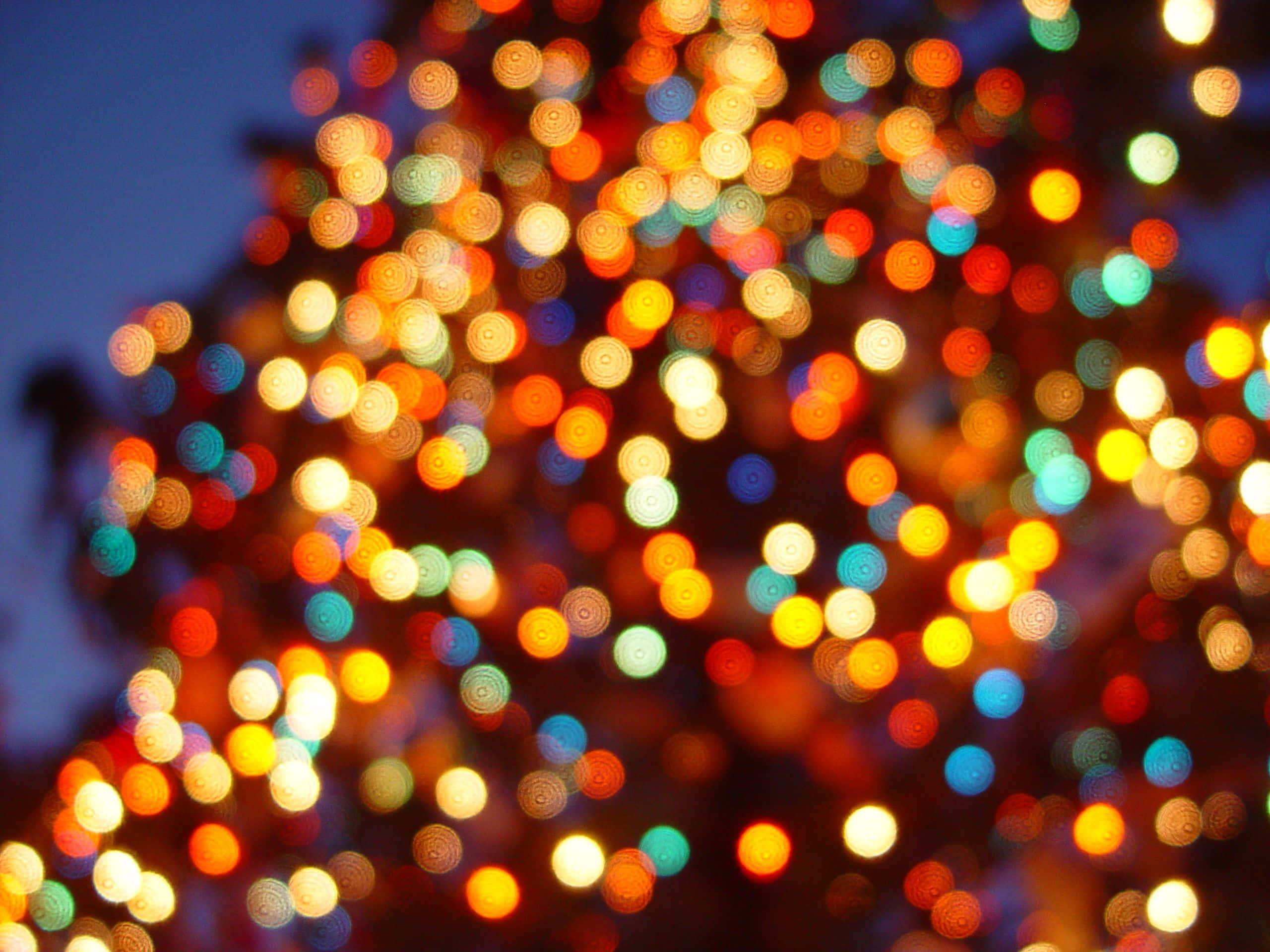 Celebra esta temporada navideña con luces de Navidad parpadeantes Fondos de pantalla