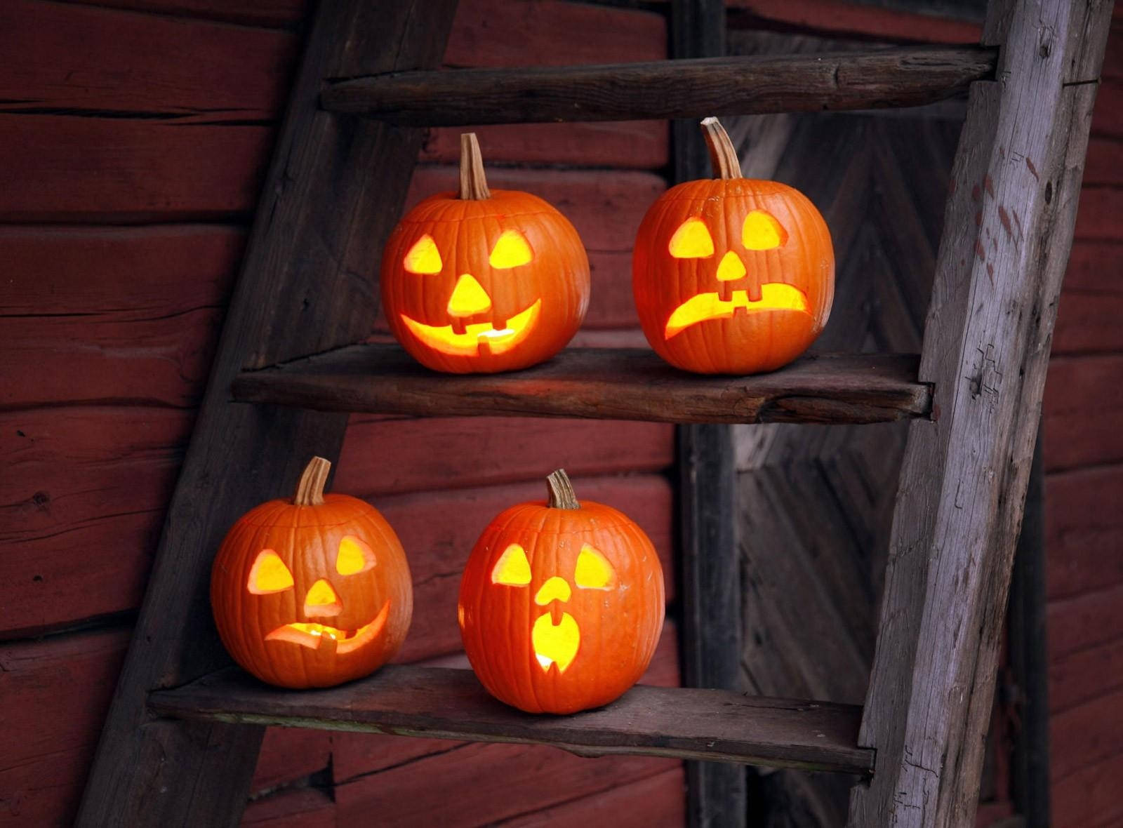 Celebra Halloween con Calabazas Divertidas y Graciosas Fondos de pantalla