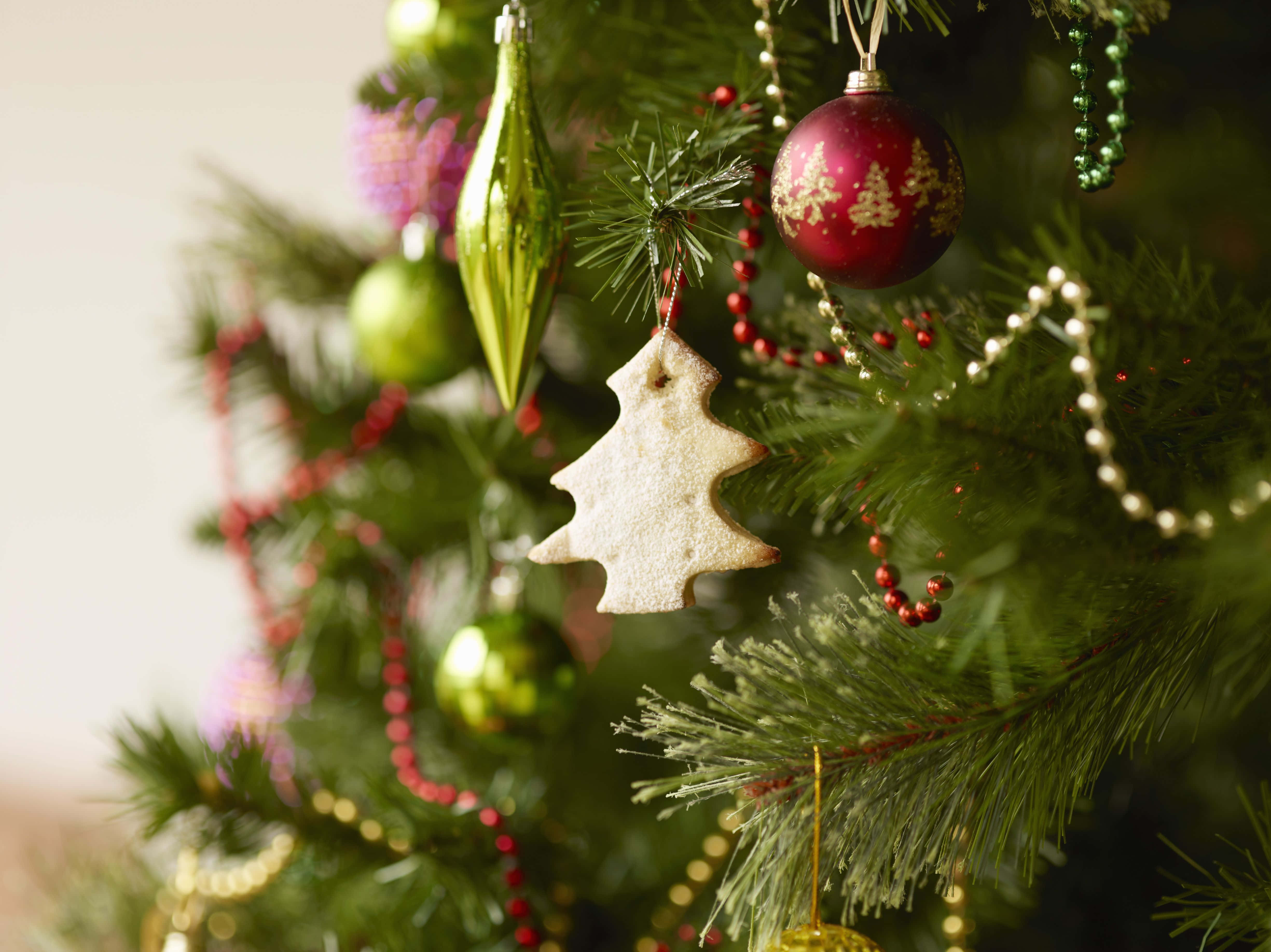 "¡Celebra la belleza de la Navidad en esta temporada navideña!" Fondos de pantalla