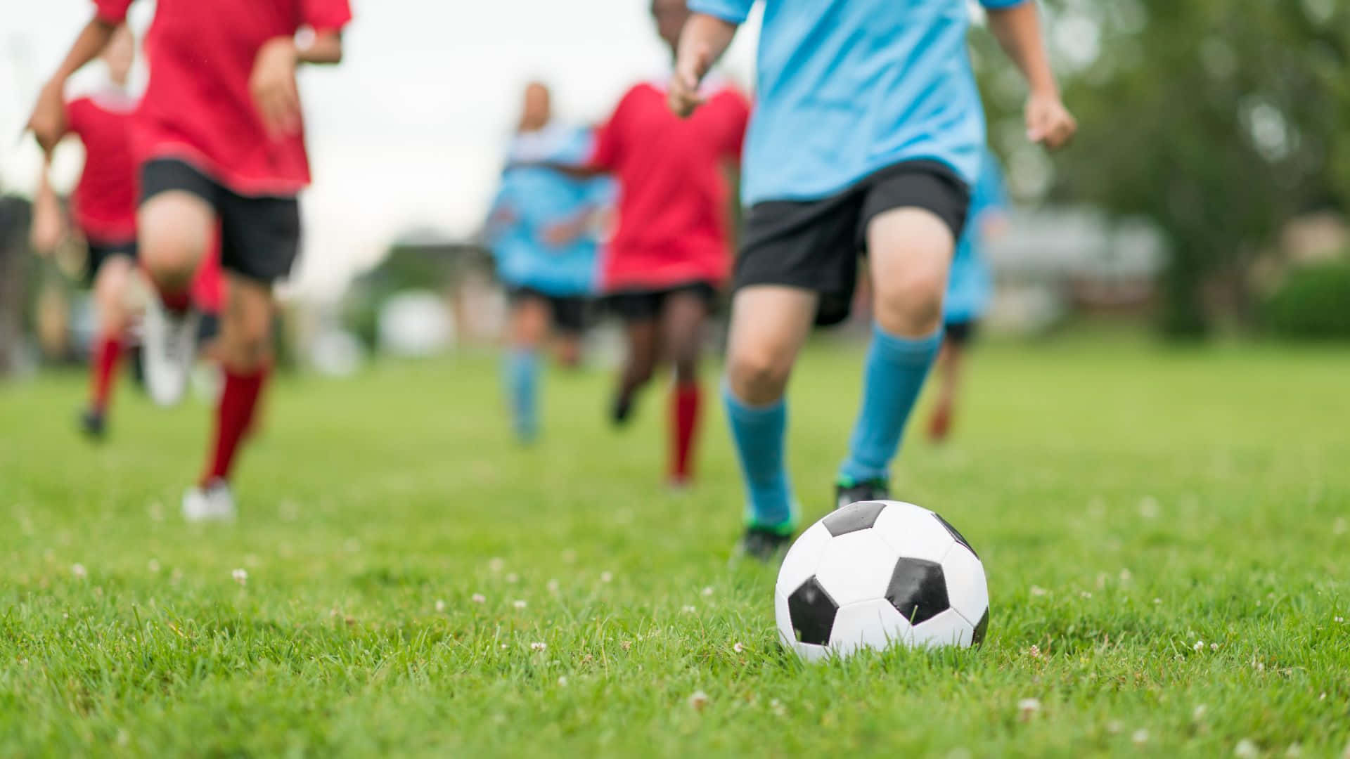 Celebra la derrota de tu rival con un partido de fútbol Fondos de pantalla