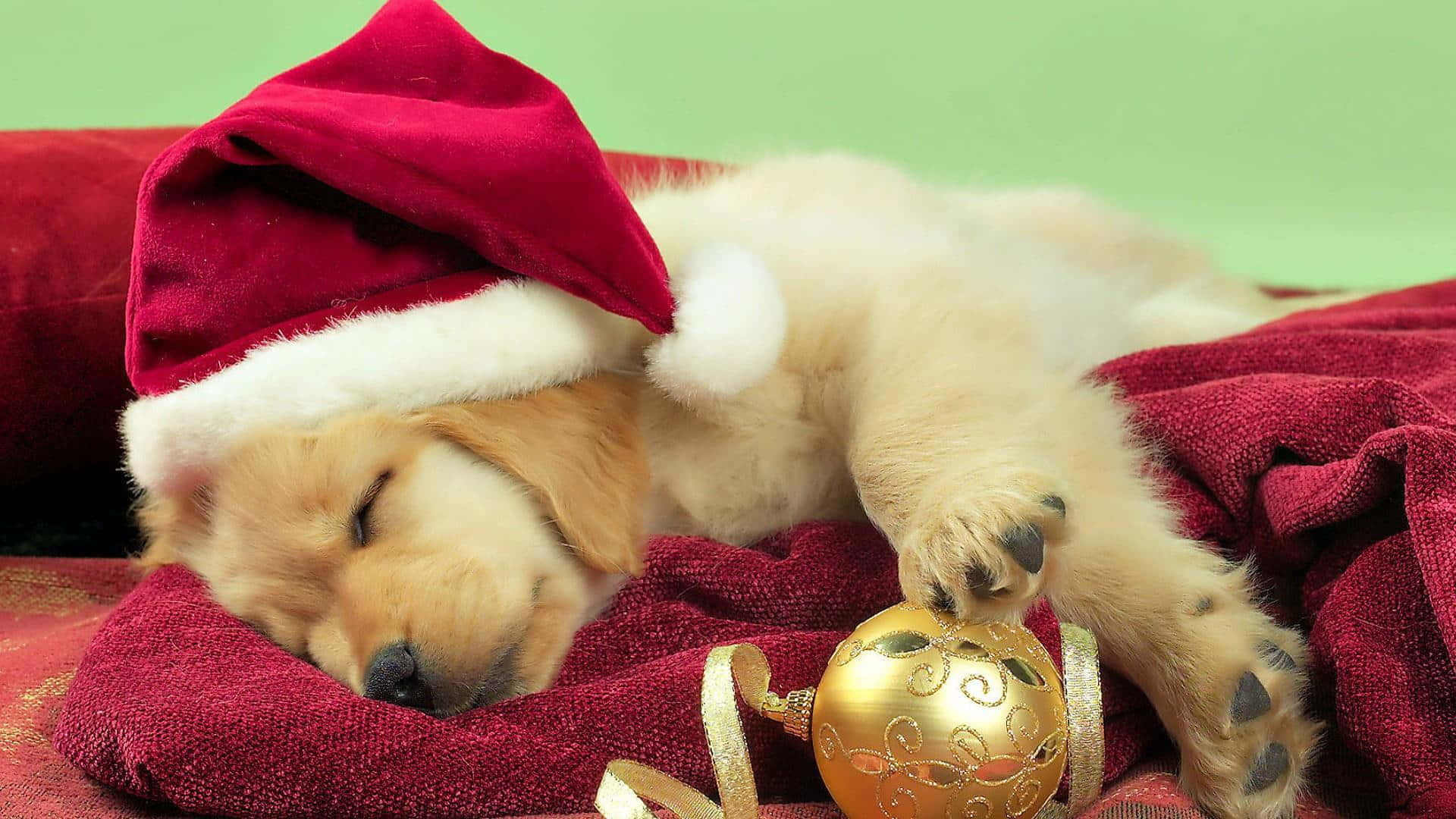 Celebra la Navidad con alegría festiva Fondos de pantalla