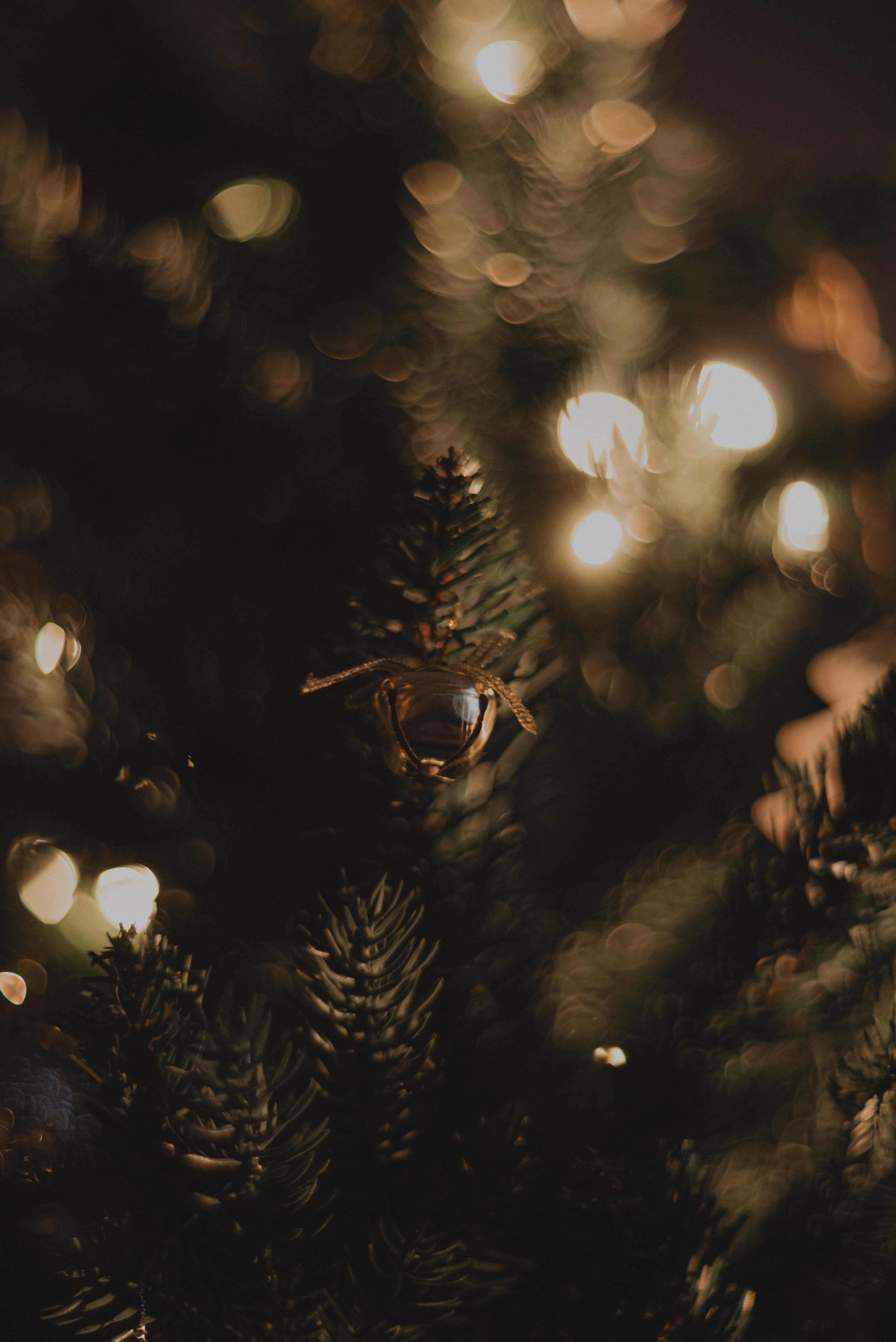 Celebra la Navidad en tu teléfono Fondos de pantalla