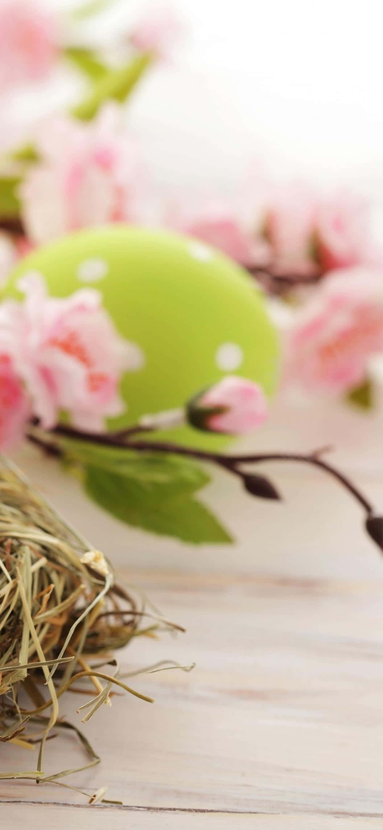 Celebra la Pascua con una linda funda de iPhone de conejito Fondos de pantalla