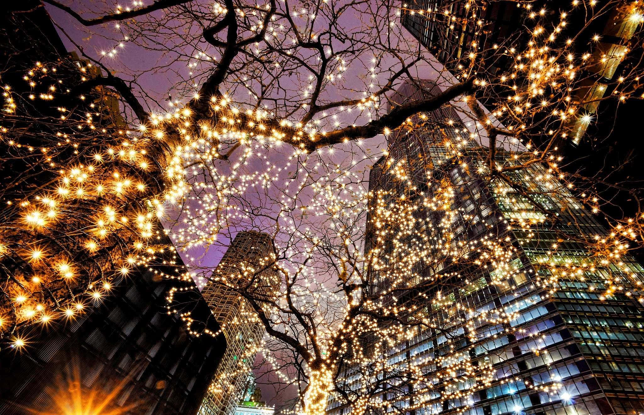 Celebra la Temporada Navideña con las Luces Festivas de Navidad Fondos de pantalla