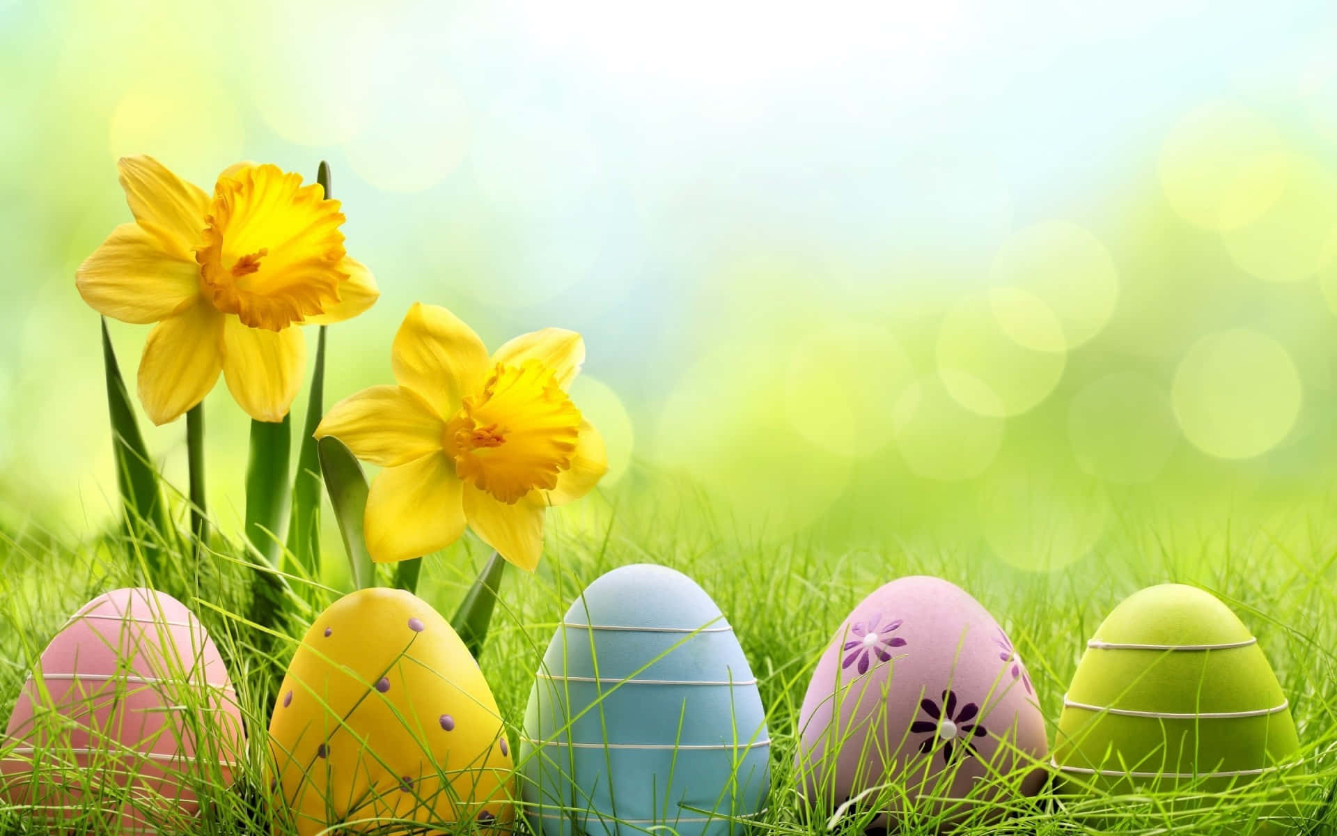 Celebración de Pascua con ternura Fondos de pantalla