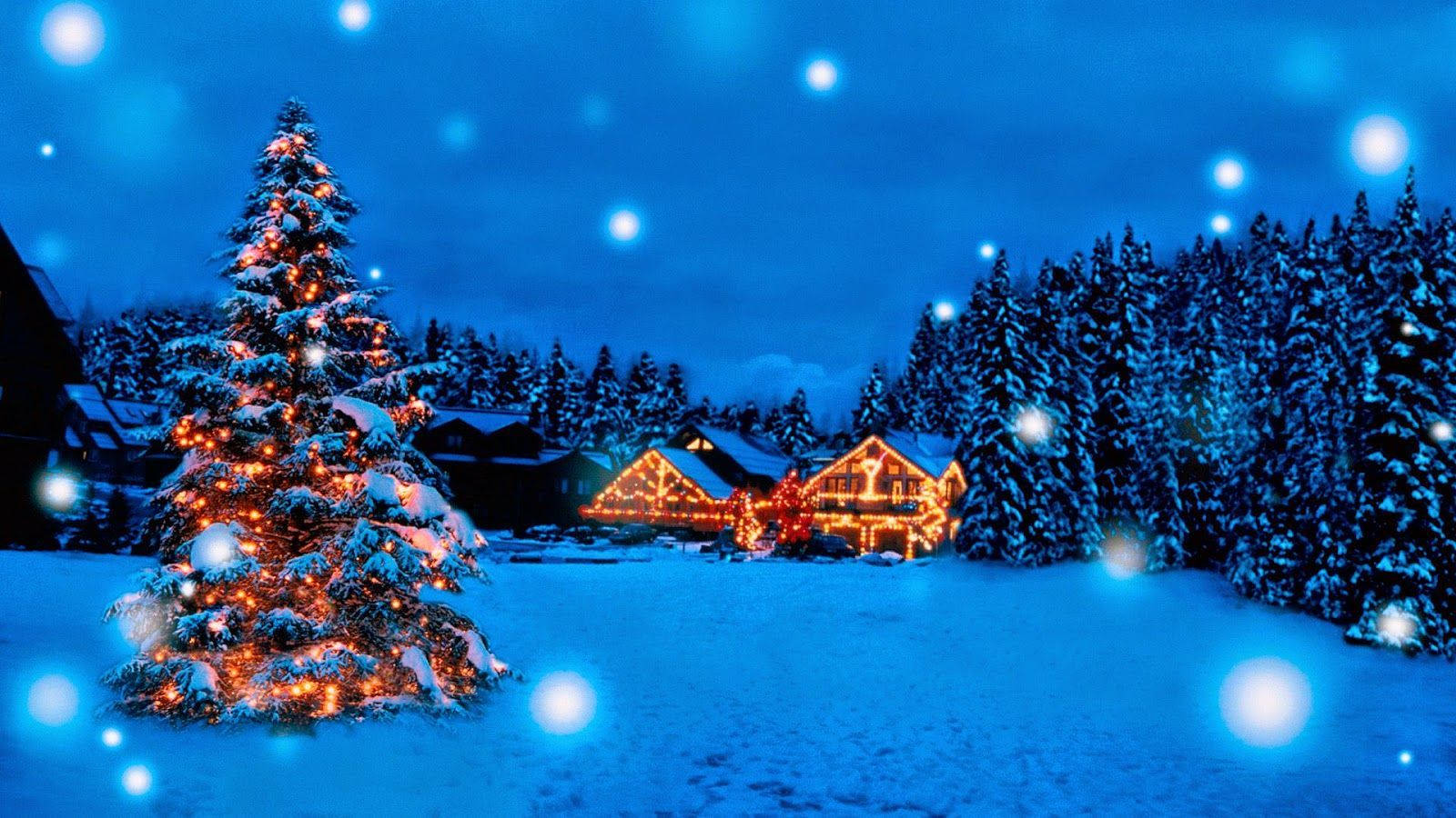 Celebración Navideña Australiana - Casa de Nieve en Verano Fondos de pantalla