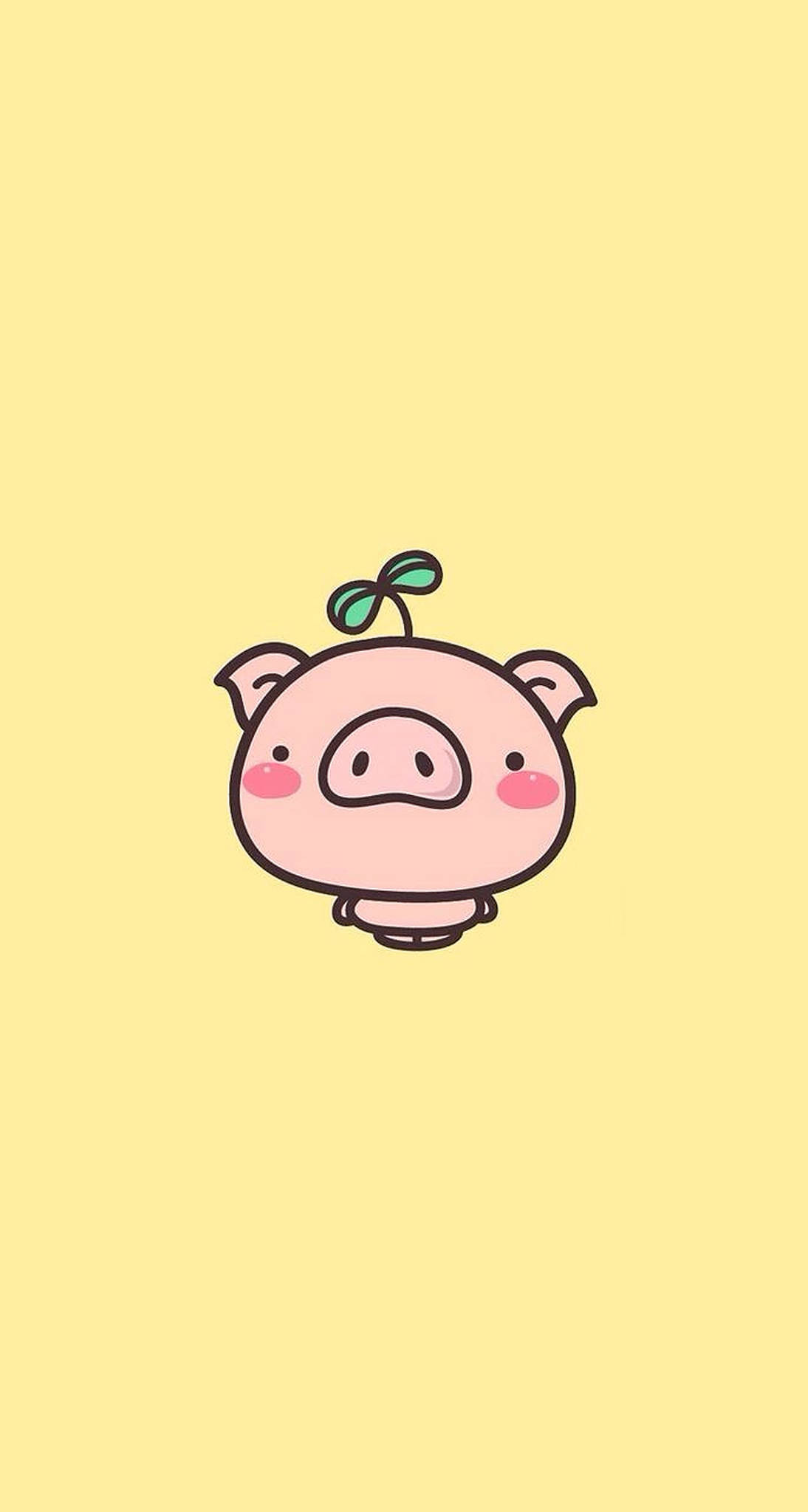Cerdito Lindo Cabezón Fondos de pantalla