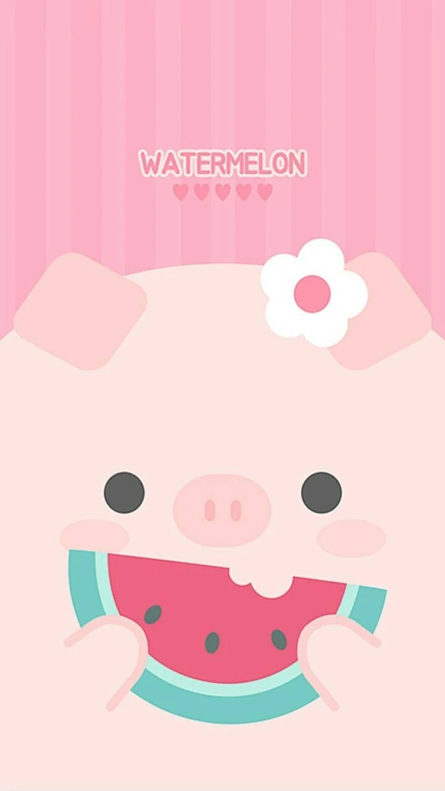 Cerdito Lindo con Sandía Fondos de pantalla