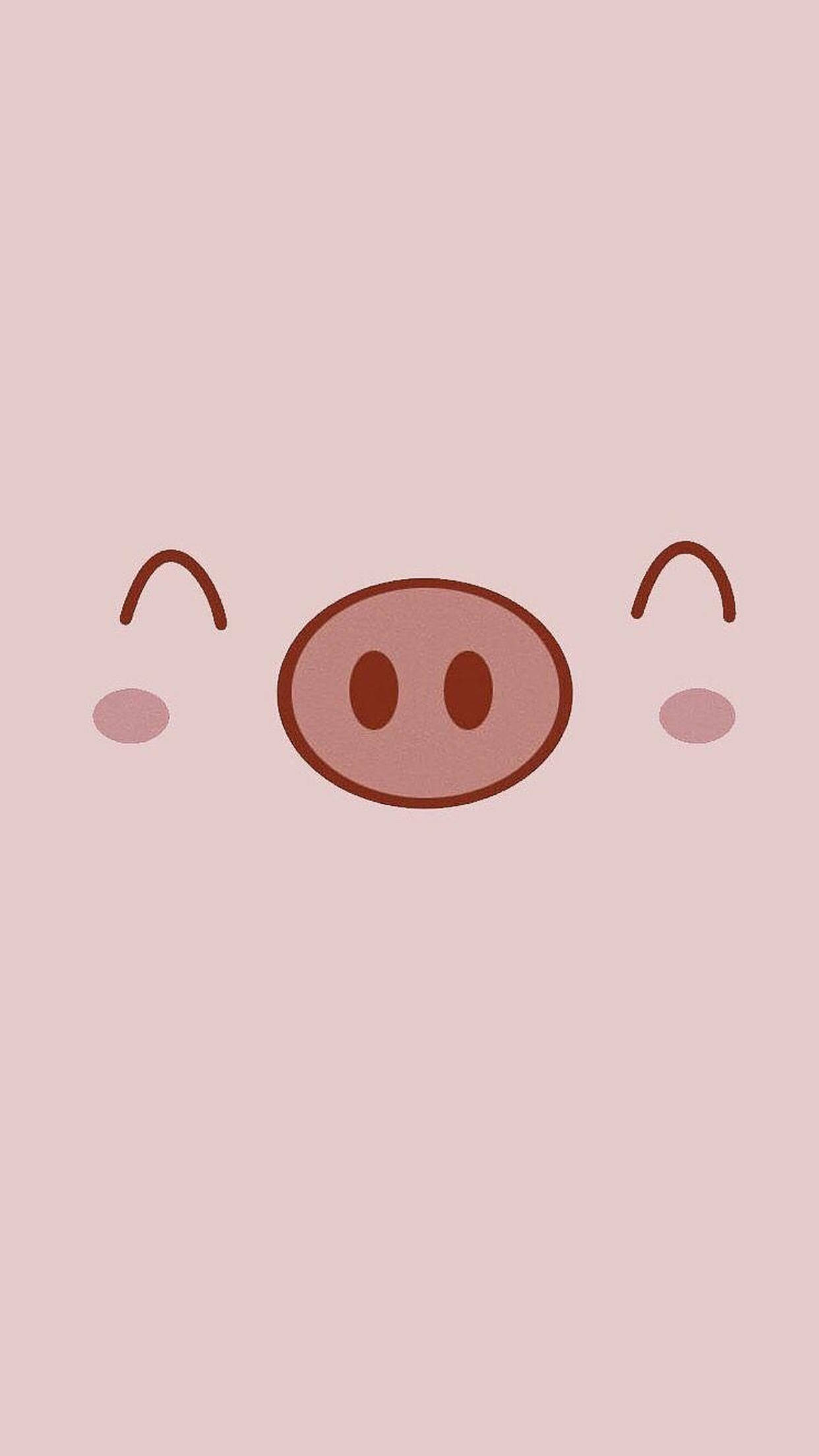 Cerdito Sonriente Fondos de pantalla