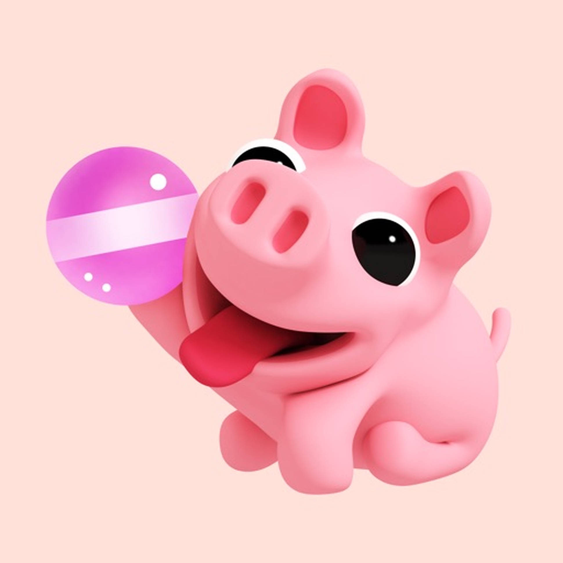 Cerdito Tierno La Rosa Fondos de pantalla