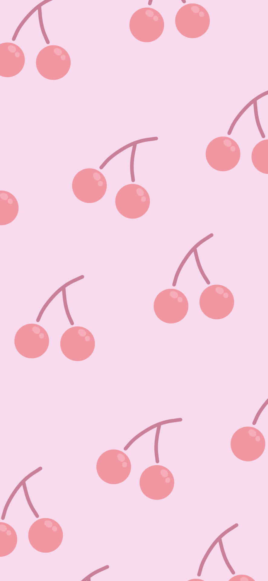 Cerezas Redondas y Rosas Tiernas Fondos de pantalla