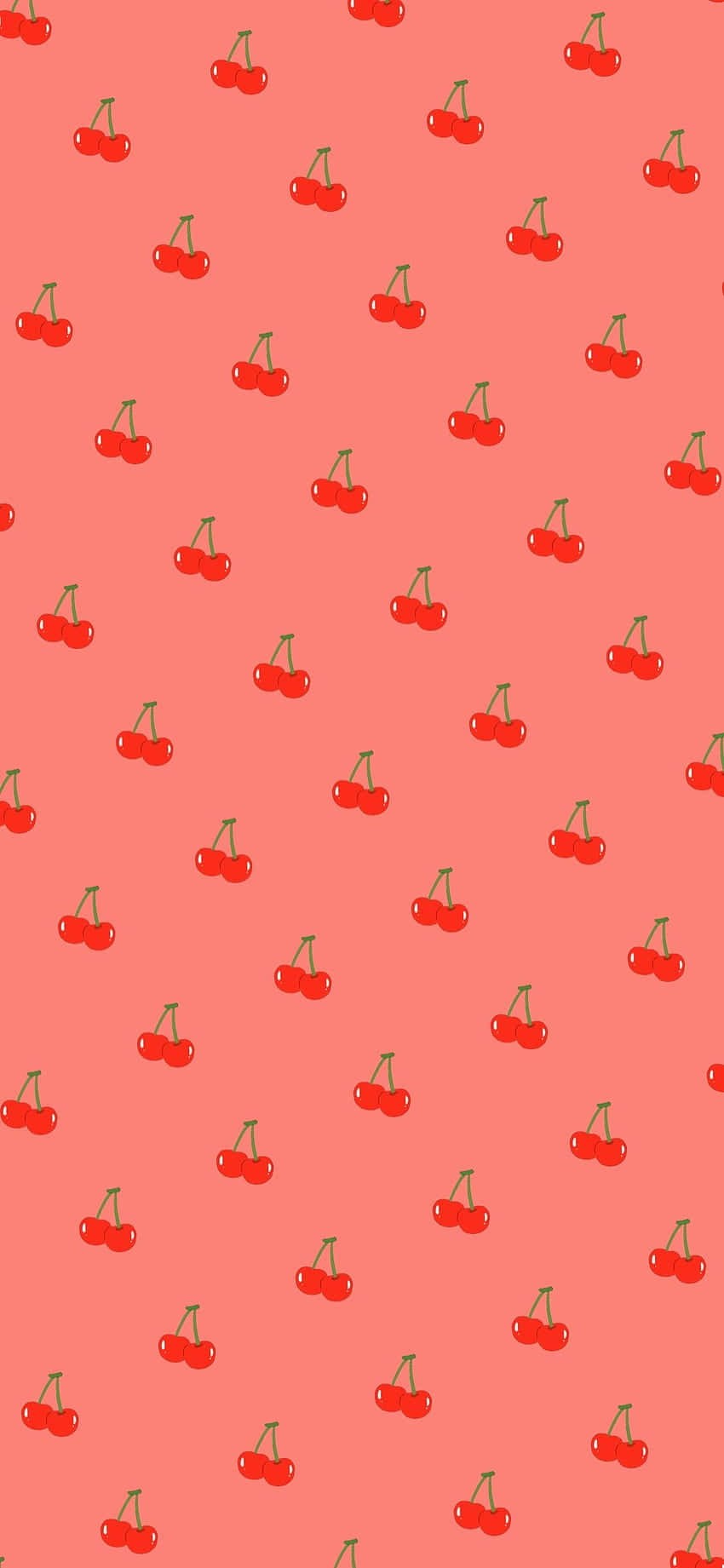 Cerezas Tiernas con Superficie Roja Brillante Fondos de pantalla