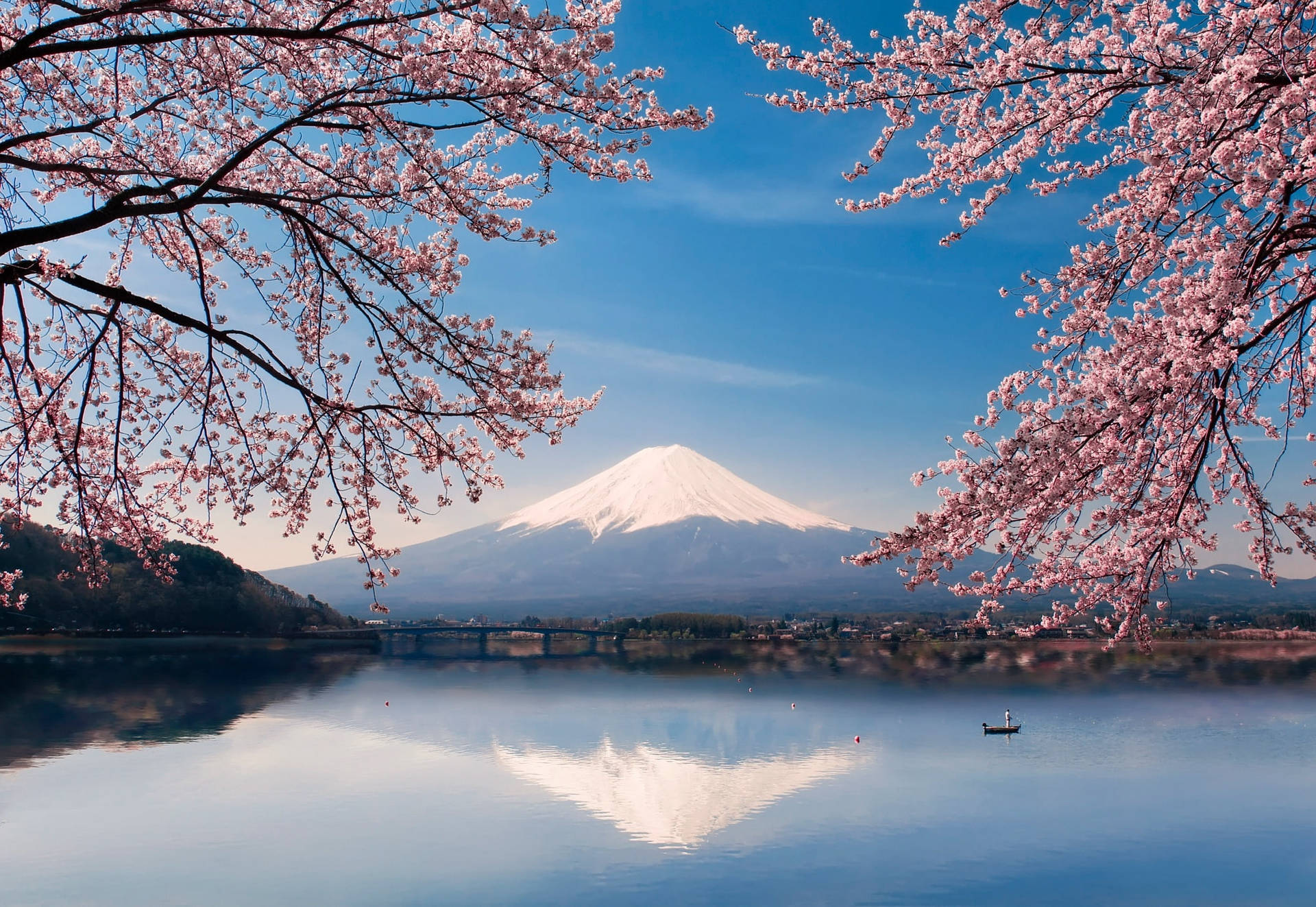 Cerezos en Flor y Monte Fuji Japón 4K Fondos de pantalla