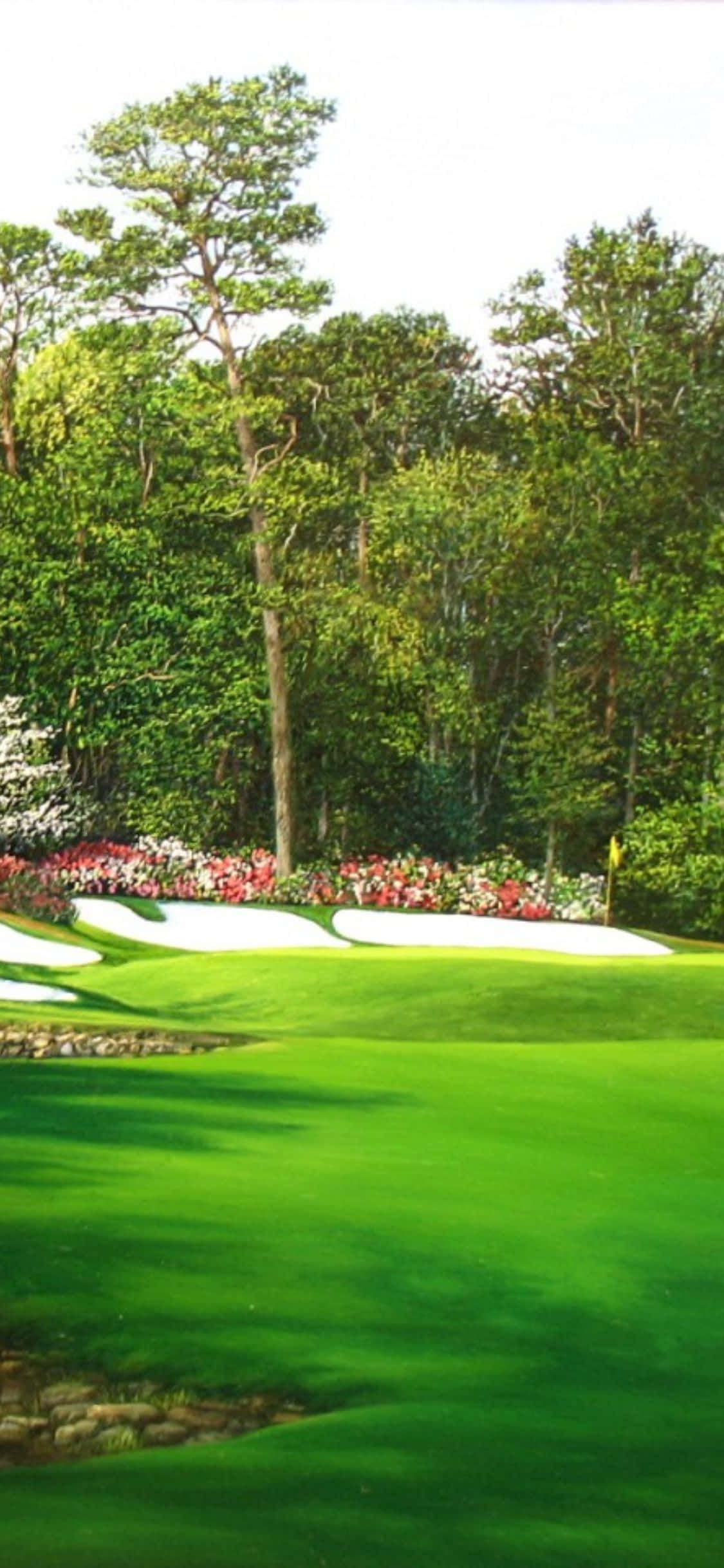 césped verde en el campo de golf Fondos de pantalla