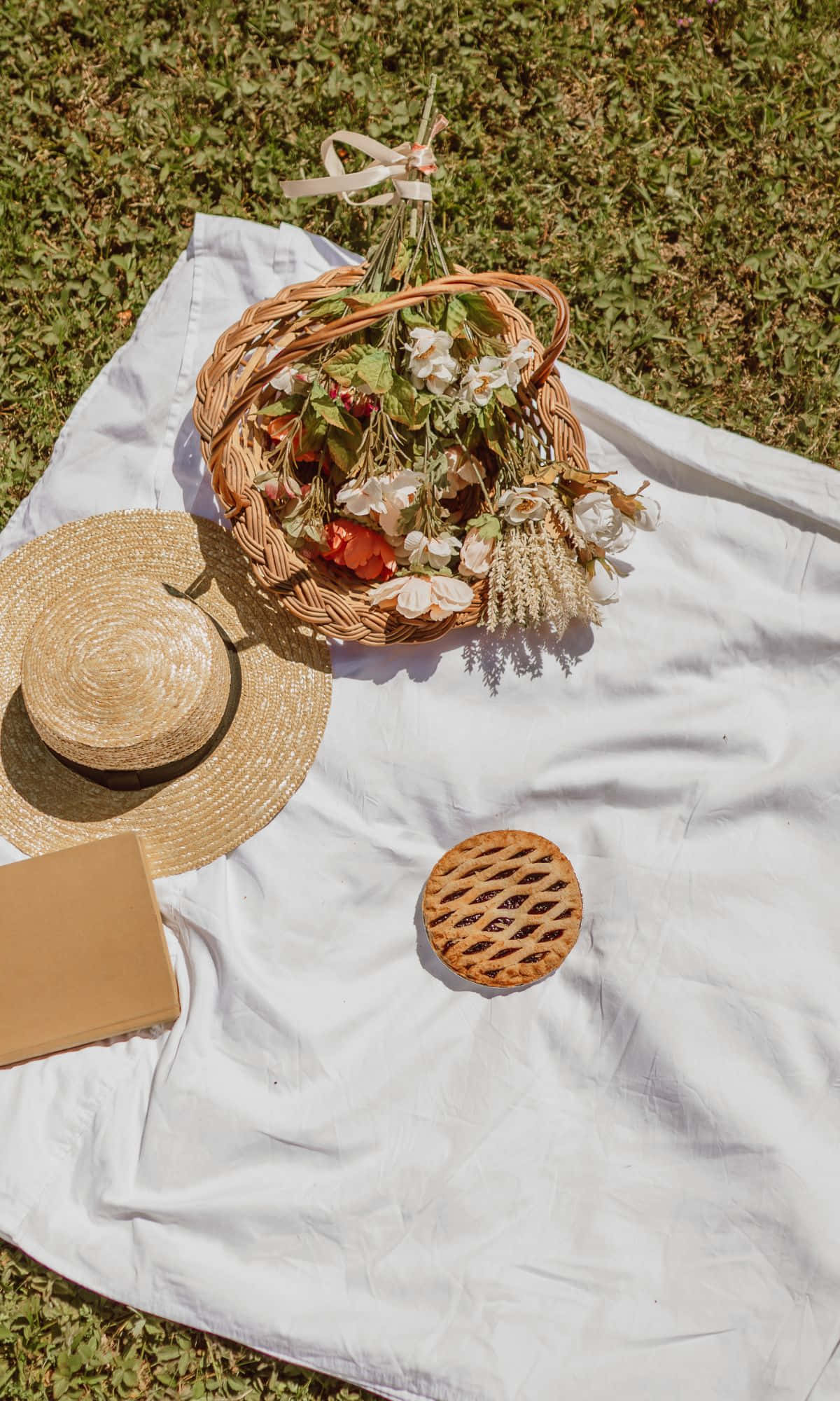 Cesta de picnic con un sombrero, una cesta y un libro Fondos de pantalla