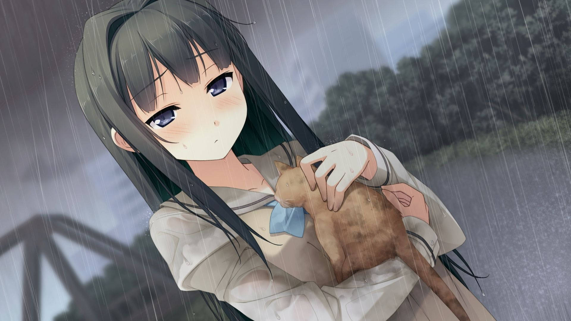 Chica Anime Sosteniendo un Gato Nightcore Fondos de pantalla