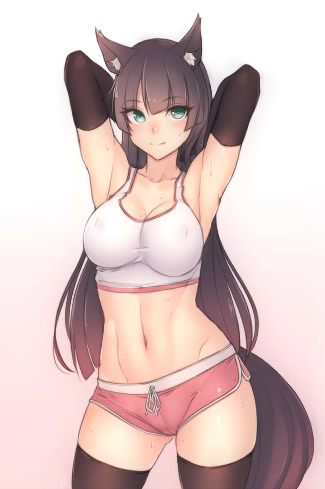 Chica gato anime sexy haciendo ejercicio Fondos de pantalla
