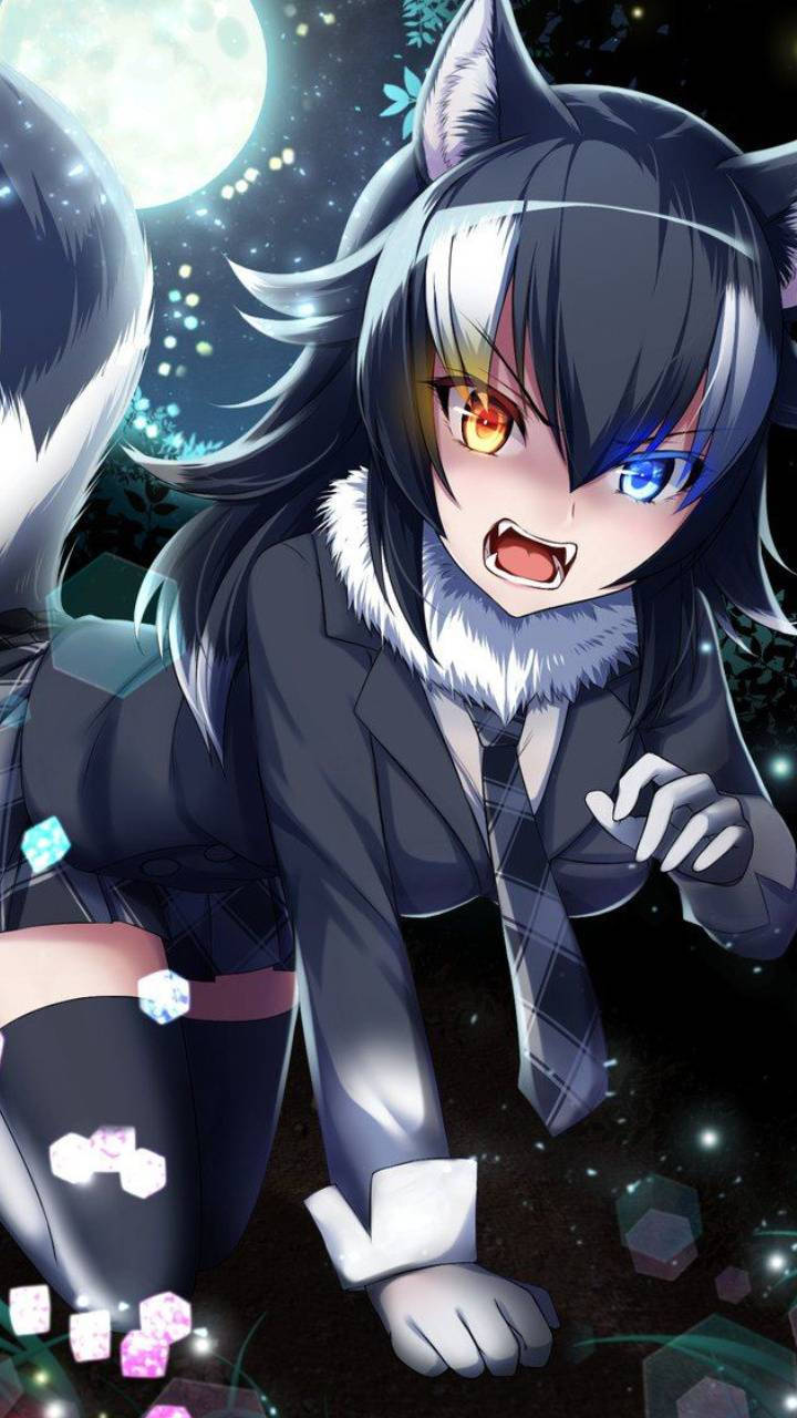 Chica Lobo Anime Linda para Foto de Perfil Fondos de pantalla