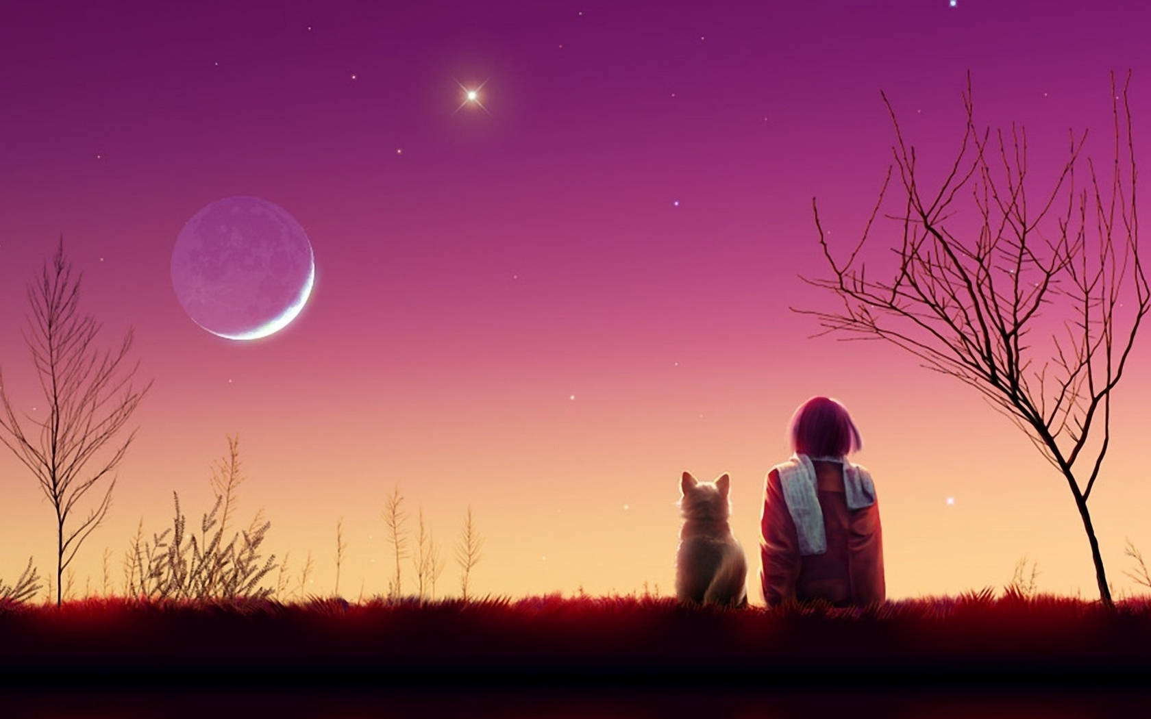 Chica y Gato Anime Estética Atardecer Fondos de pantalla