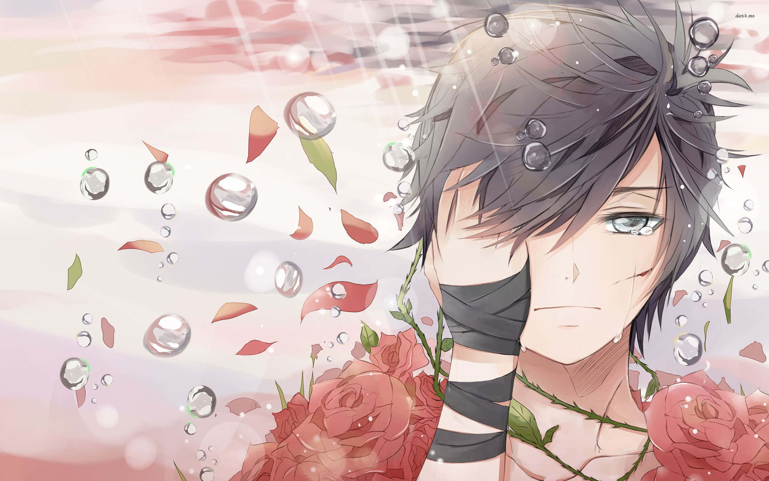 Chico triste con rosas PFP Fondos de pantalla