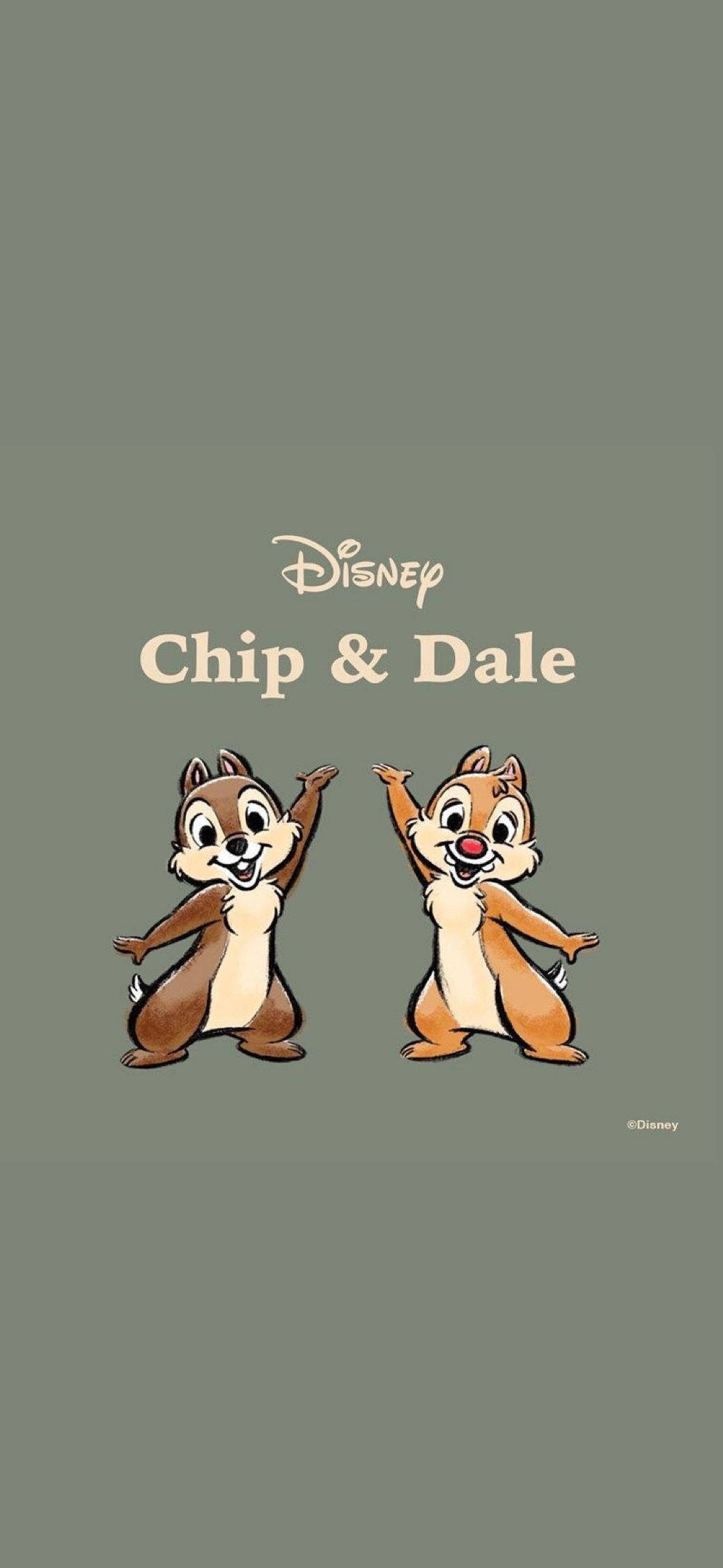 Chip y Dale Sobre Fondo Gris Fondos de pantalla