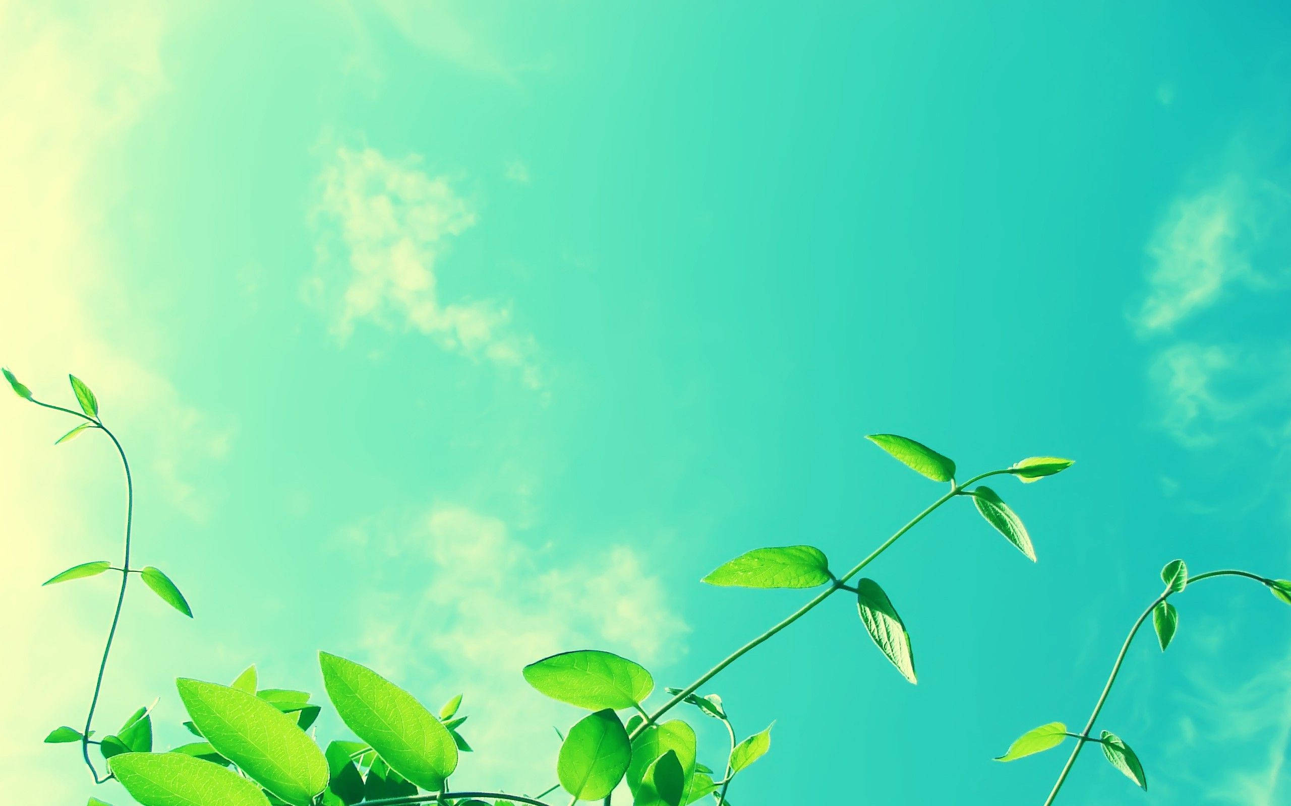 Cielo Azul Verde Fresco Fondos de pantalla