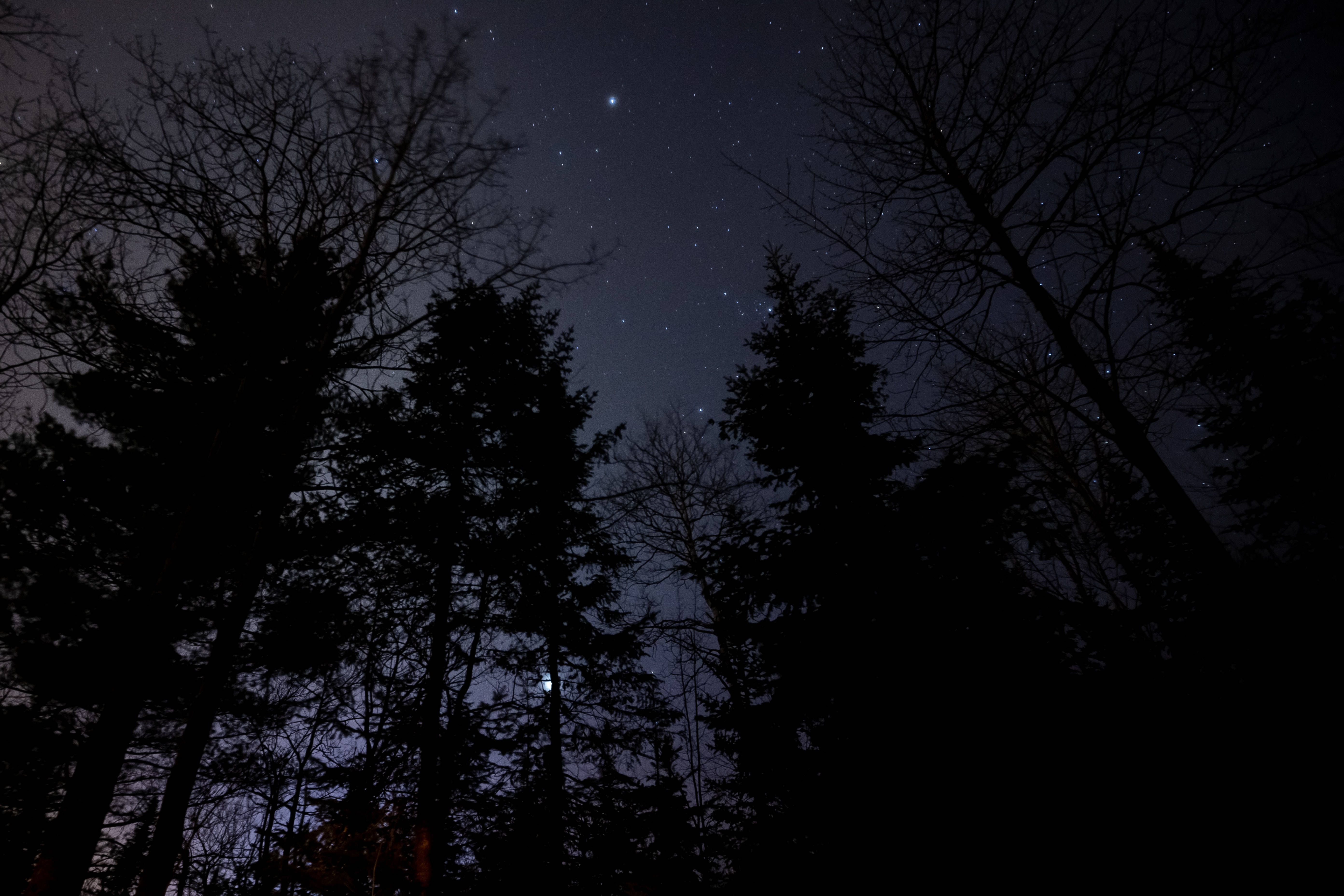 Cielo Estrellado de Noche Fondos de pantalla