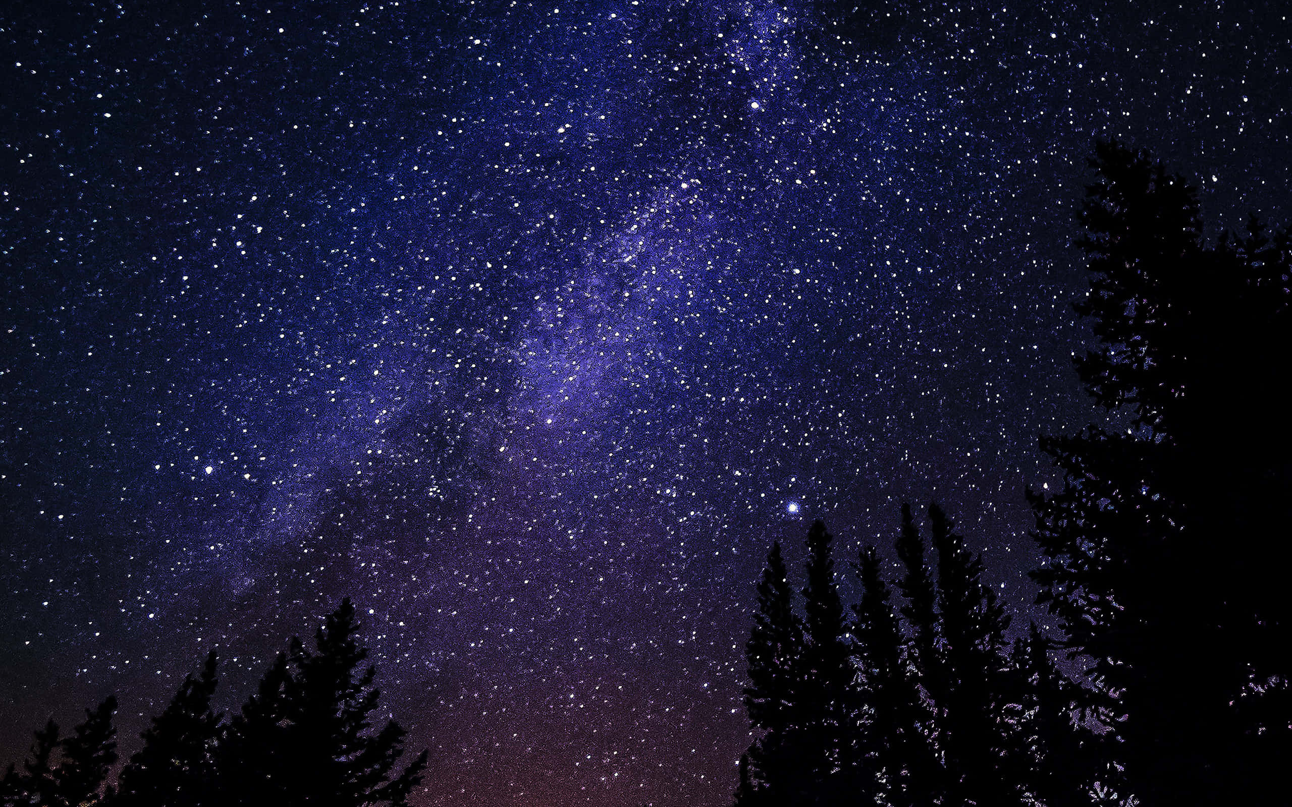 Cielo estrellado con silueta de árbol Fondos de pantalla
