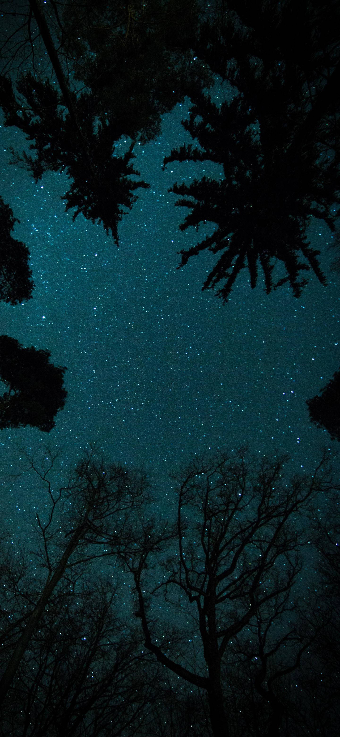 Cielo Estrellado Nocturno OnePlus Fondos de pantalla