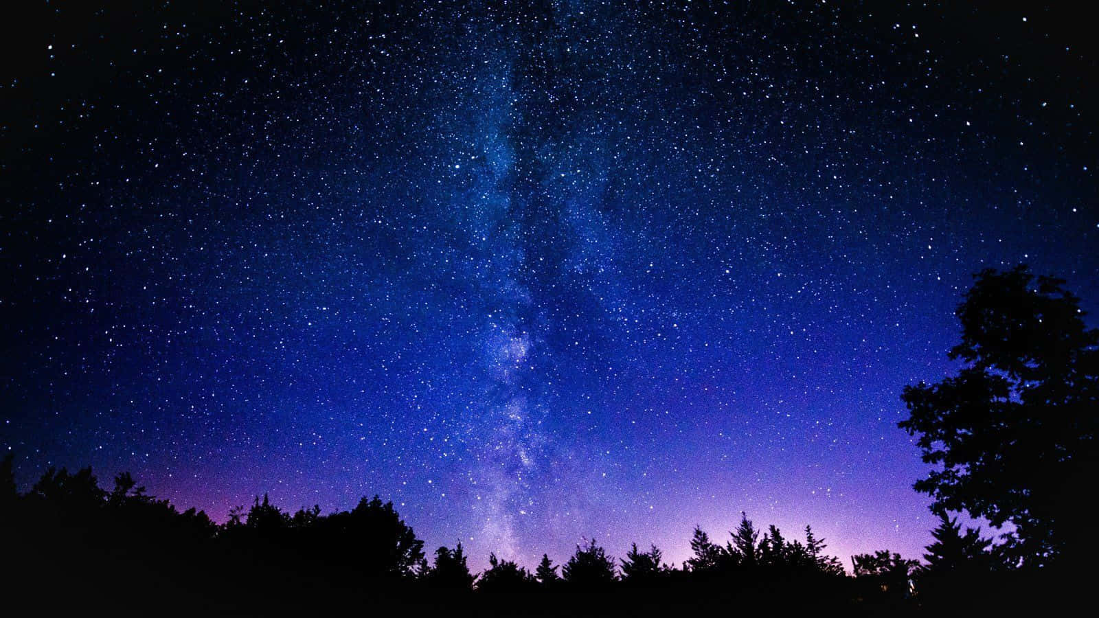 Cielo Galaxia Arbustos Árboles Fondos de pantalla