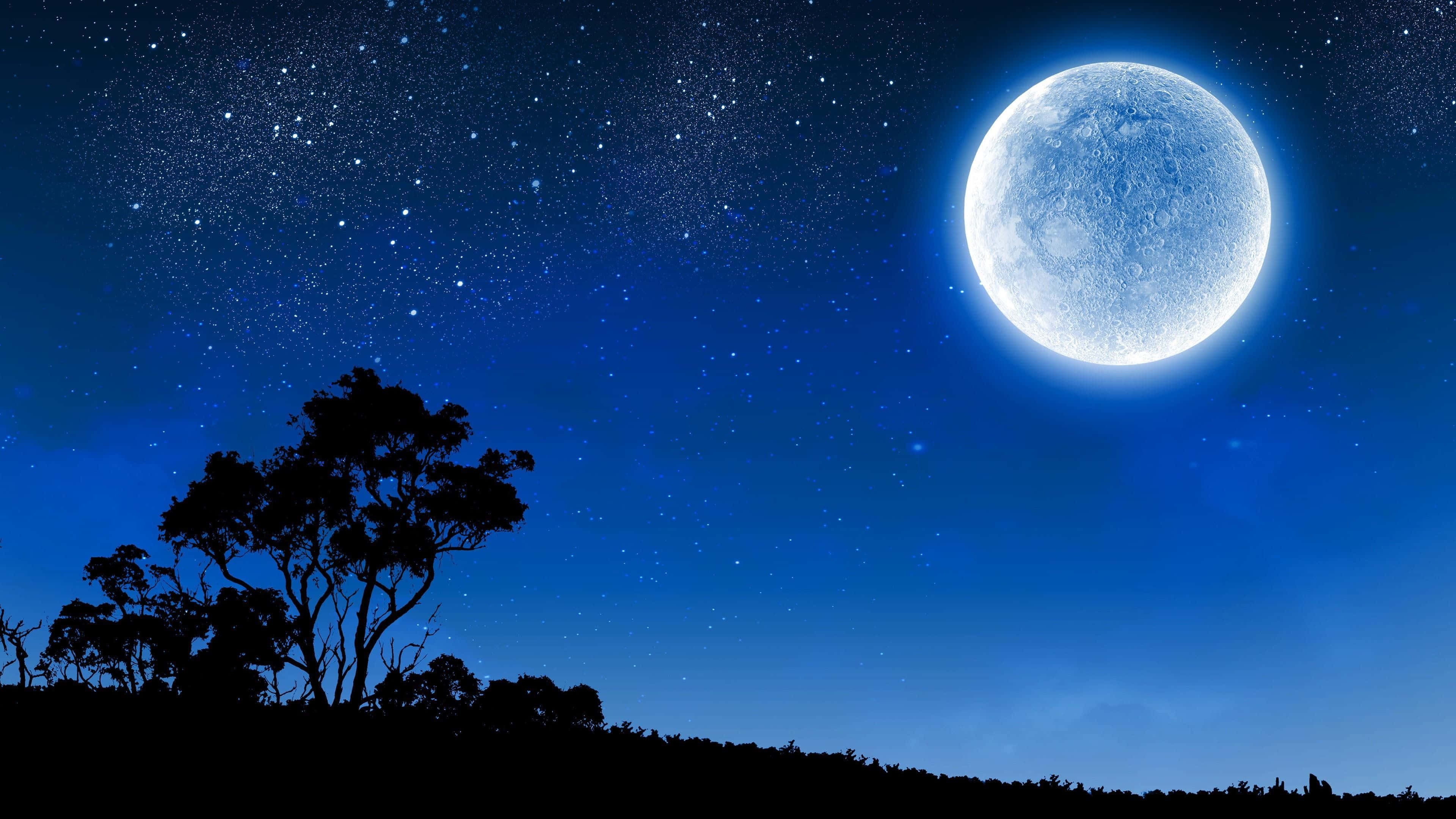 Cielo nocturno estrellado azul con luna Fondos de pantalla