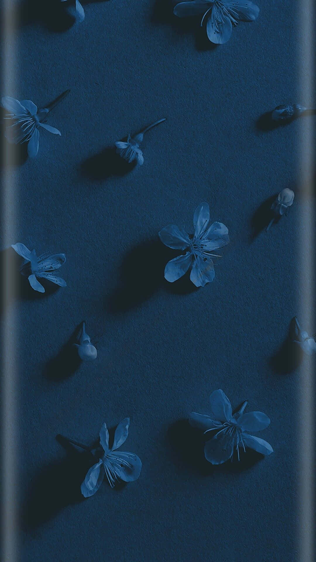 Cielo Nocturno Etéreo Fondos de pantalla