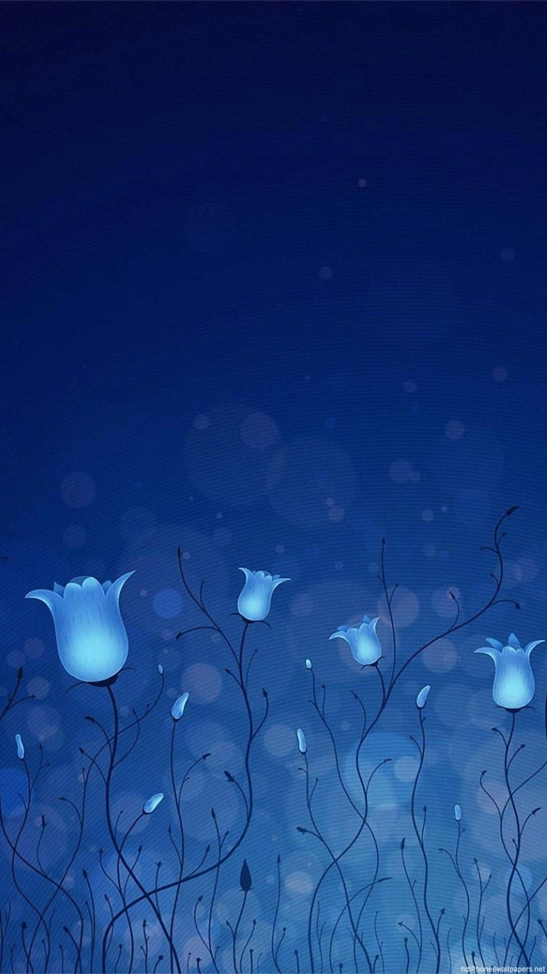 Cielo Nocturno Galáctico Romántico Fondos de pantalla