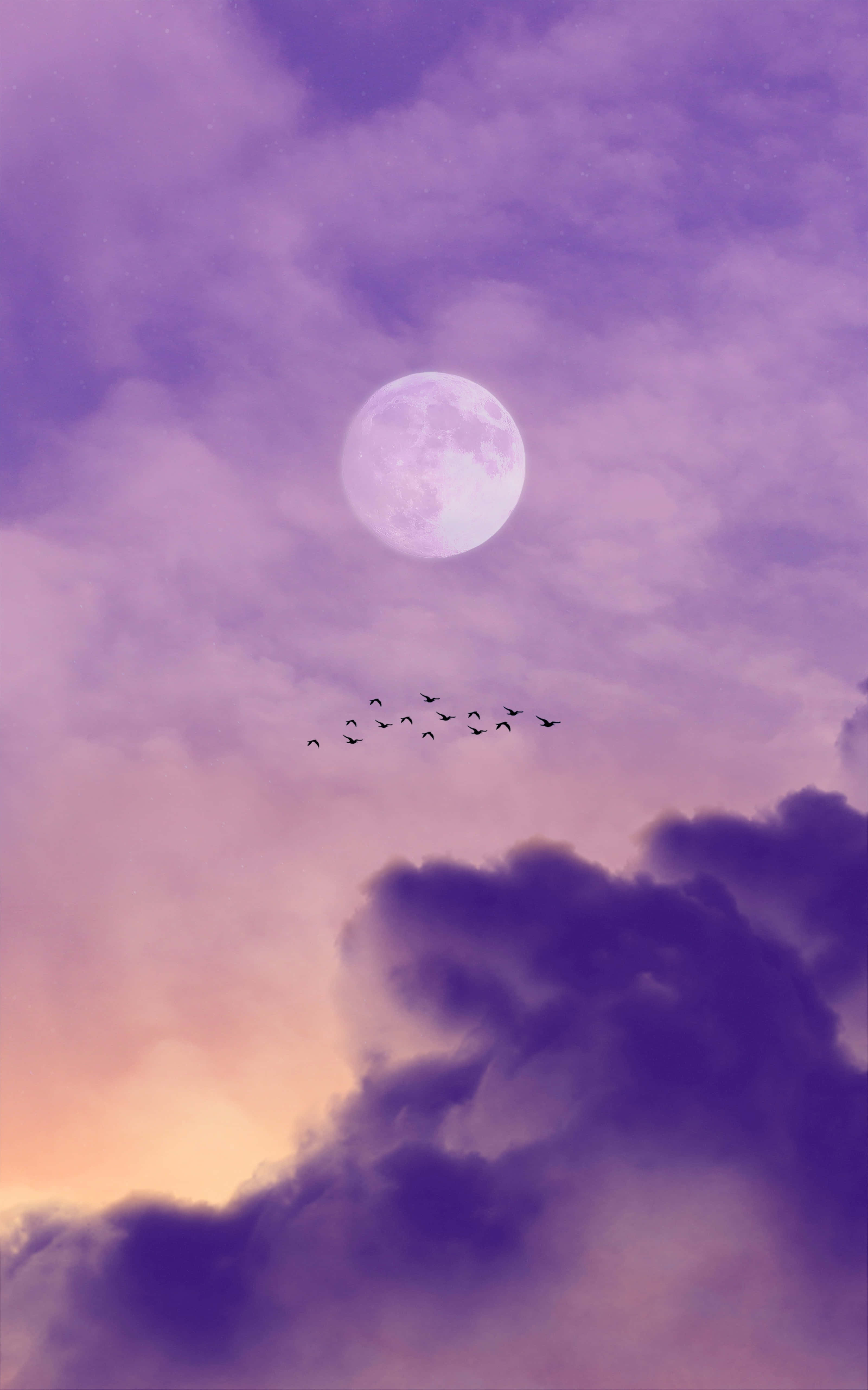 Cielo nublado con luna rosa y pájaros Fondos de pantalla